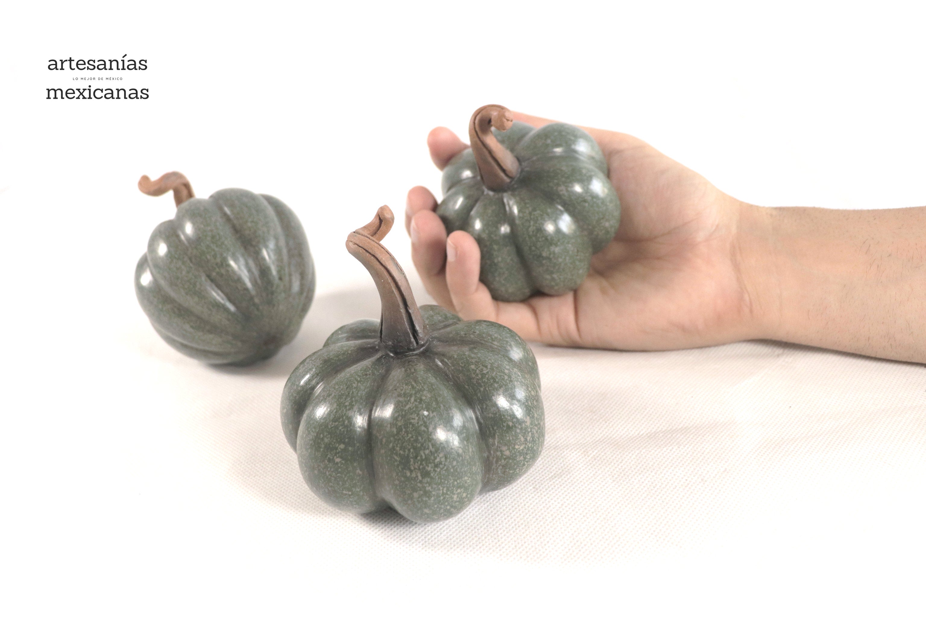 Set of 3 Pumpkins small green grayish Trejo
