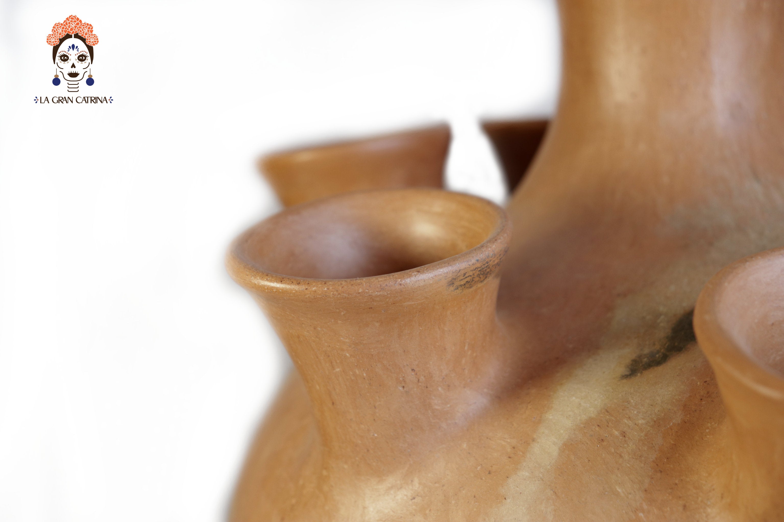 Vessel Ancestral Mixe of 10 openings - 20.8 in. Silvia Mixe