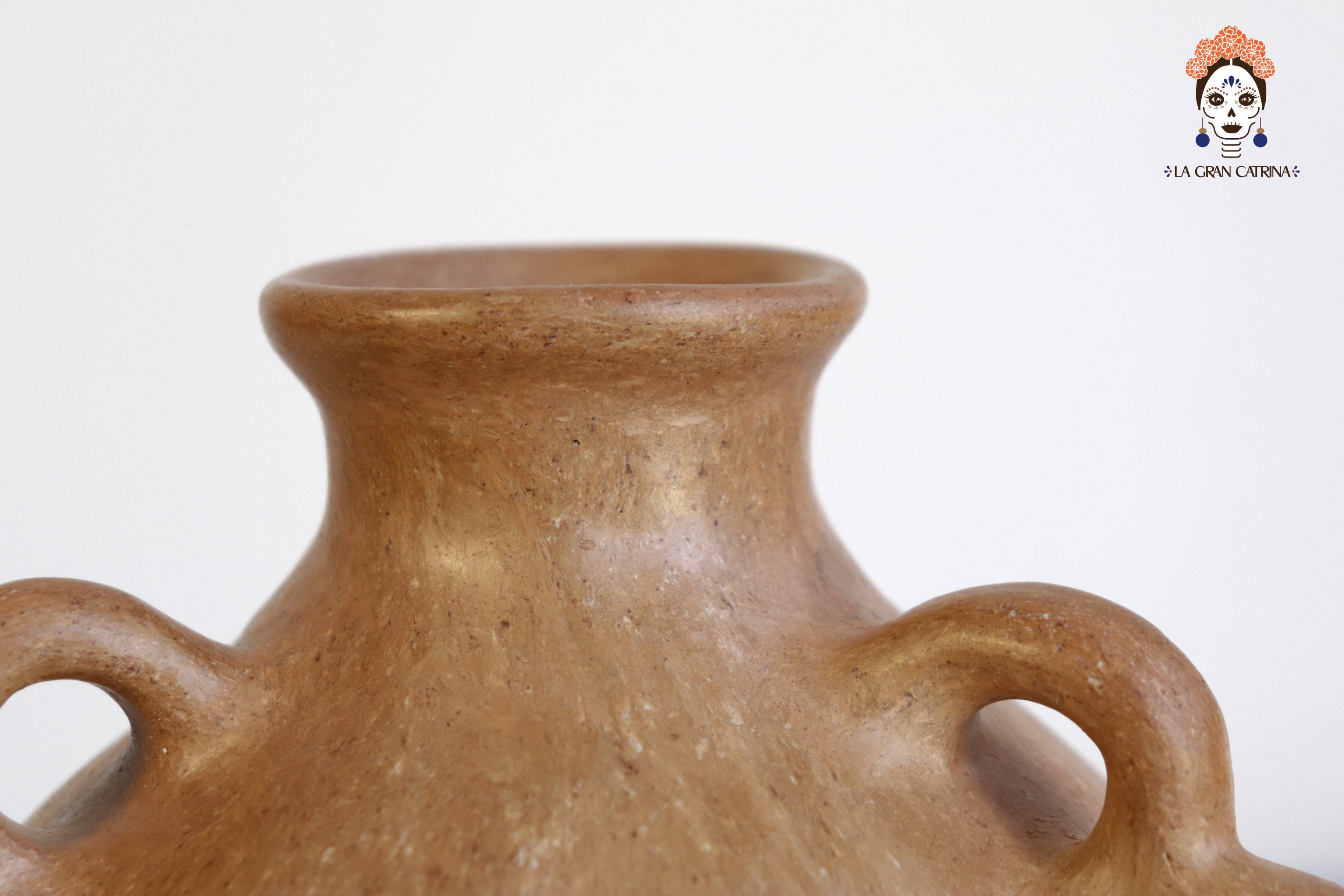 Vessel Ancestral Mixe with 9 handles - 7.8 in. Silvia Mixe