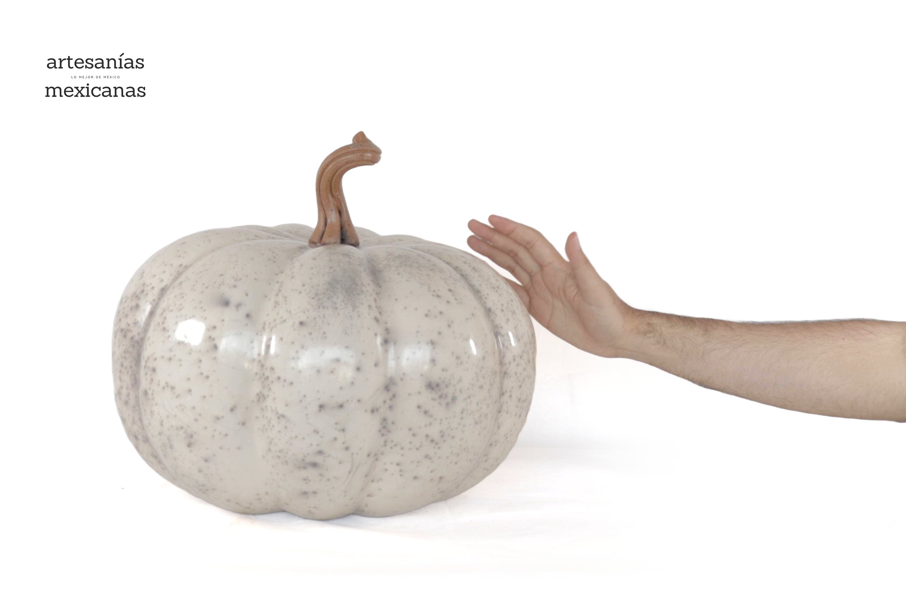 Pumpkin white large Clay - 14.5 in. Trejo
