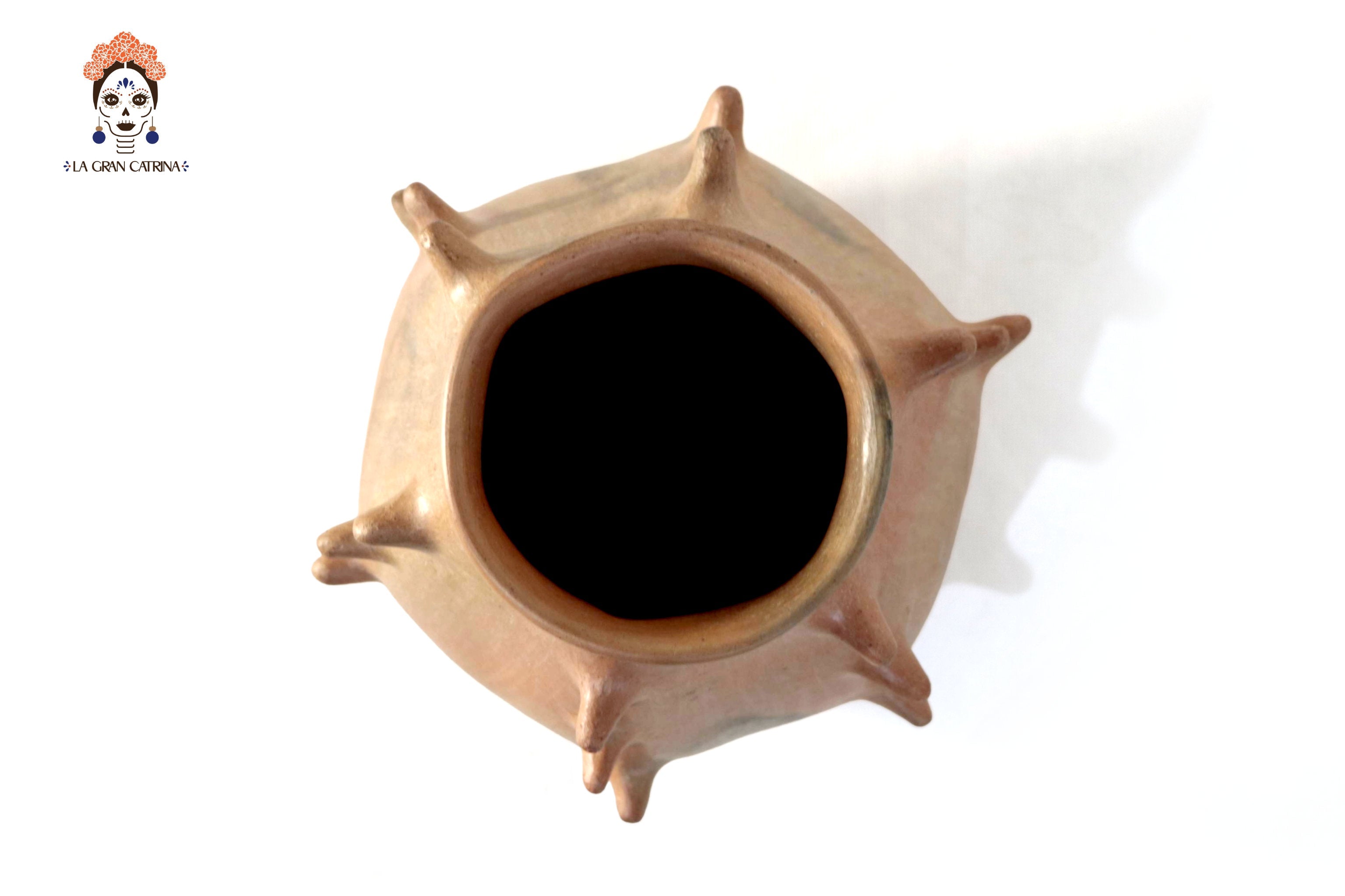 Vessel Ancestral Mixe with Spikes - 7.8 in. Silvia Mixe