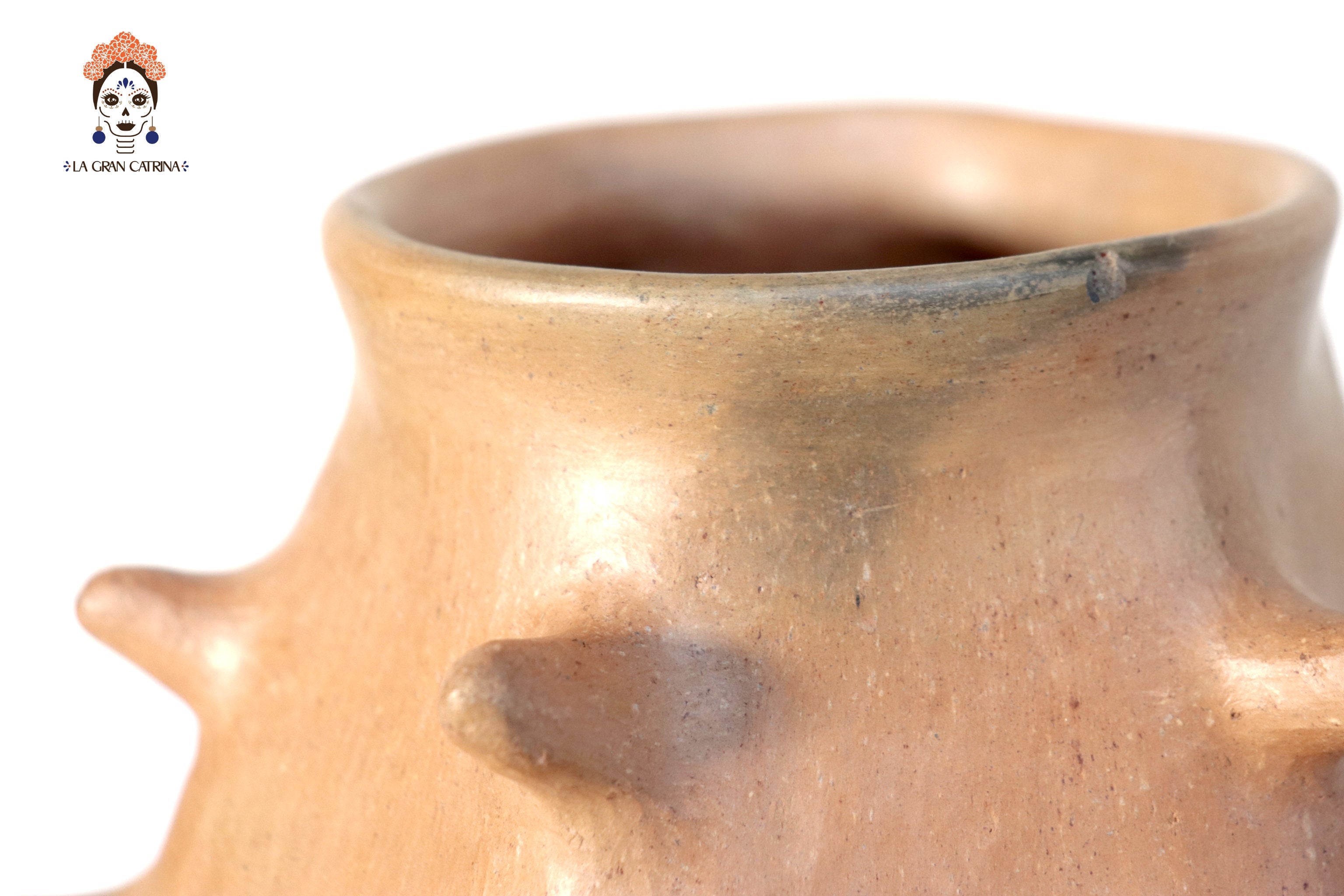 Vessel Ancestral Mixe with Spikes - 7.8 in. Silvia Mixe