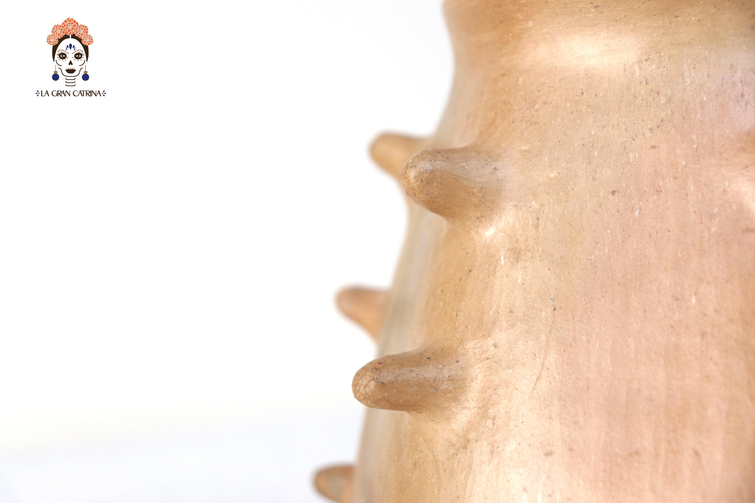 Vessel Ancestral Mixe with Spikes - 7.8 in. Silvia Mixe