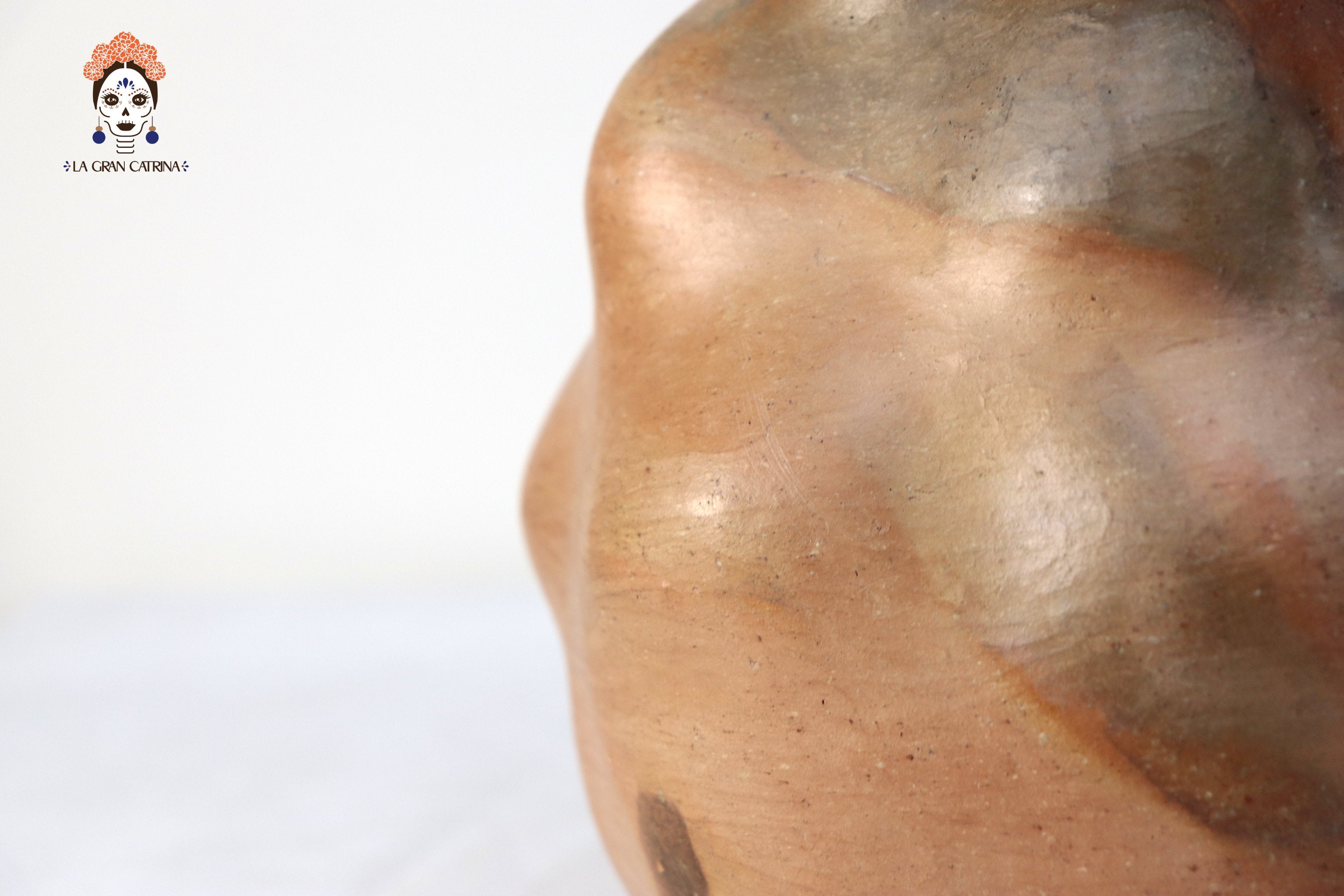 Vessel Ancestral Mixe rounded - 9.8 in. Silvia Mixe