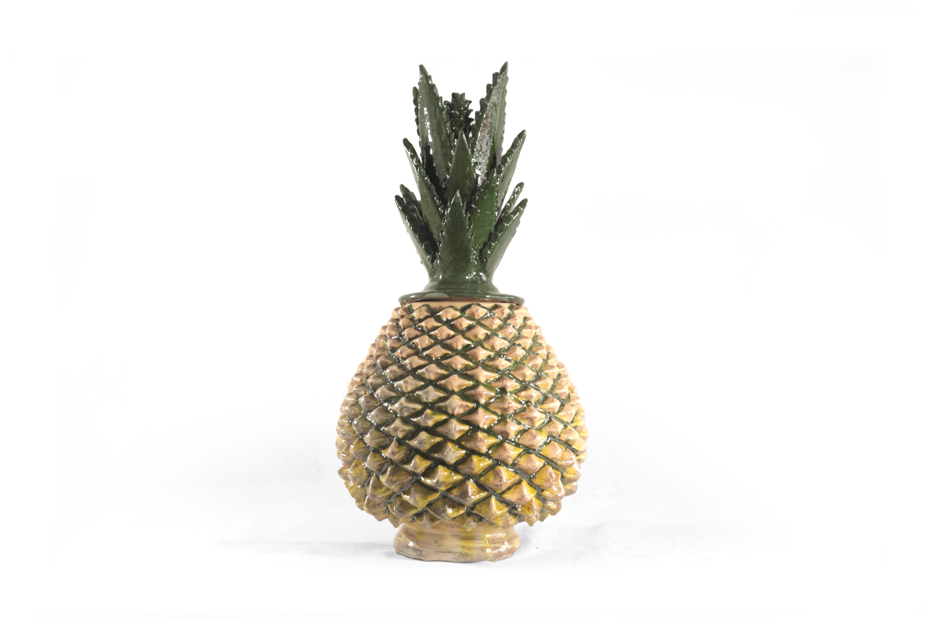 Pineapple of Agave Jimado - 20 in. Juan Gtz