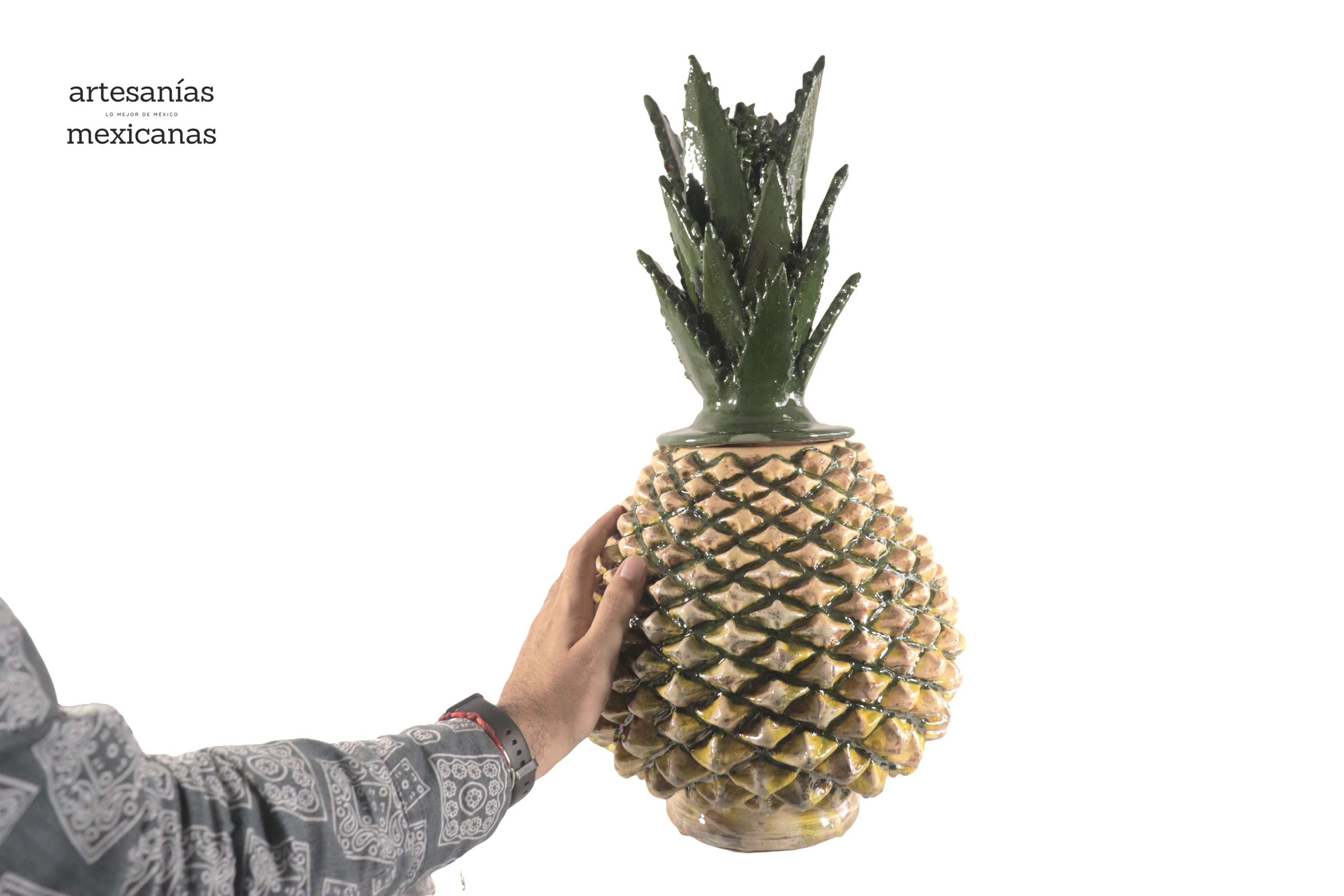 Pineapple of Agave Jimado - 20 in. Juan Gtz