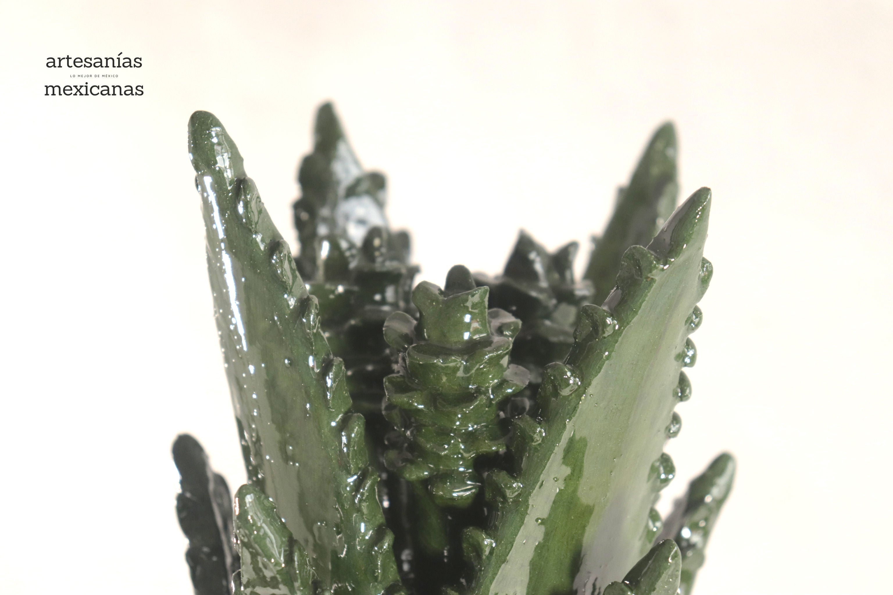 Pineapple of Agave Jimado - 20 in. Juan Gtz