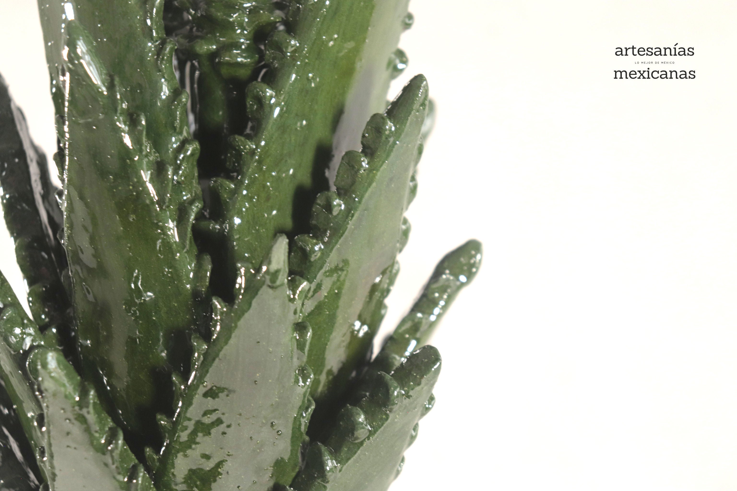 Pineapple of Agave Jimado - 20 in. Juan Gtz
