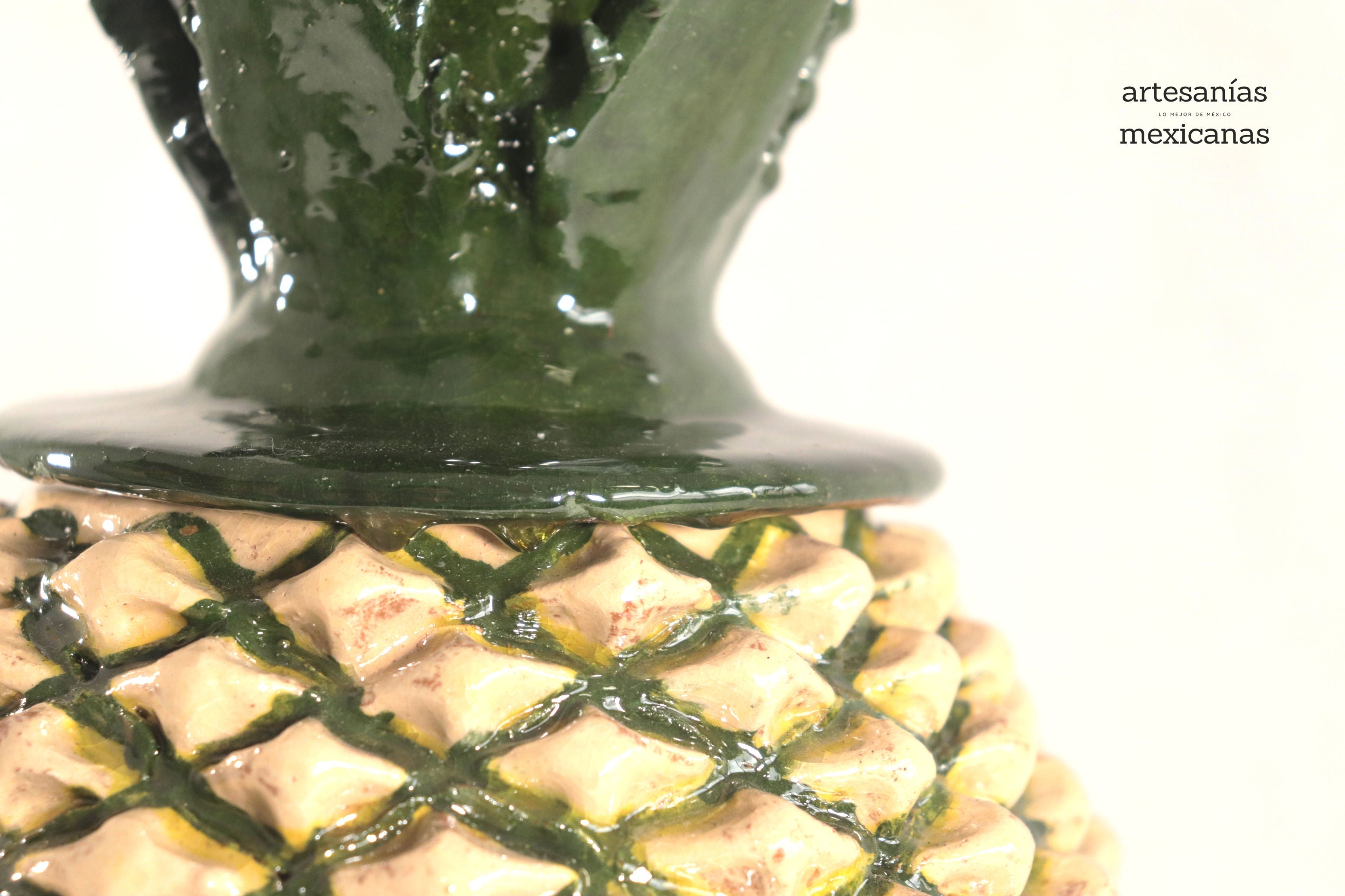 Pineapple of Agave Jimado - 20 in. Juan Gtz