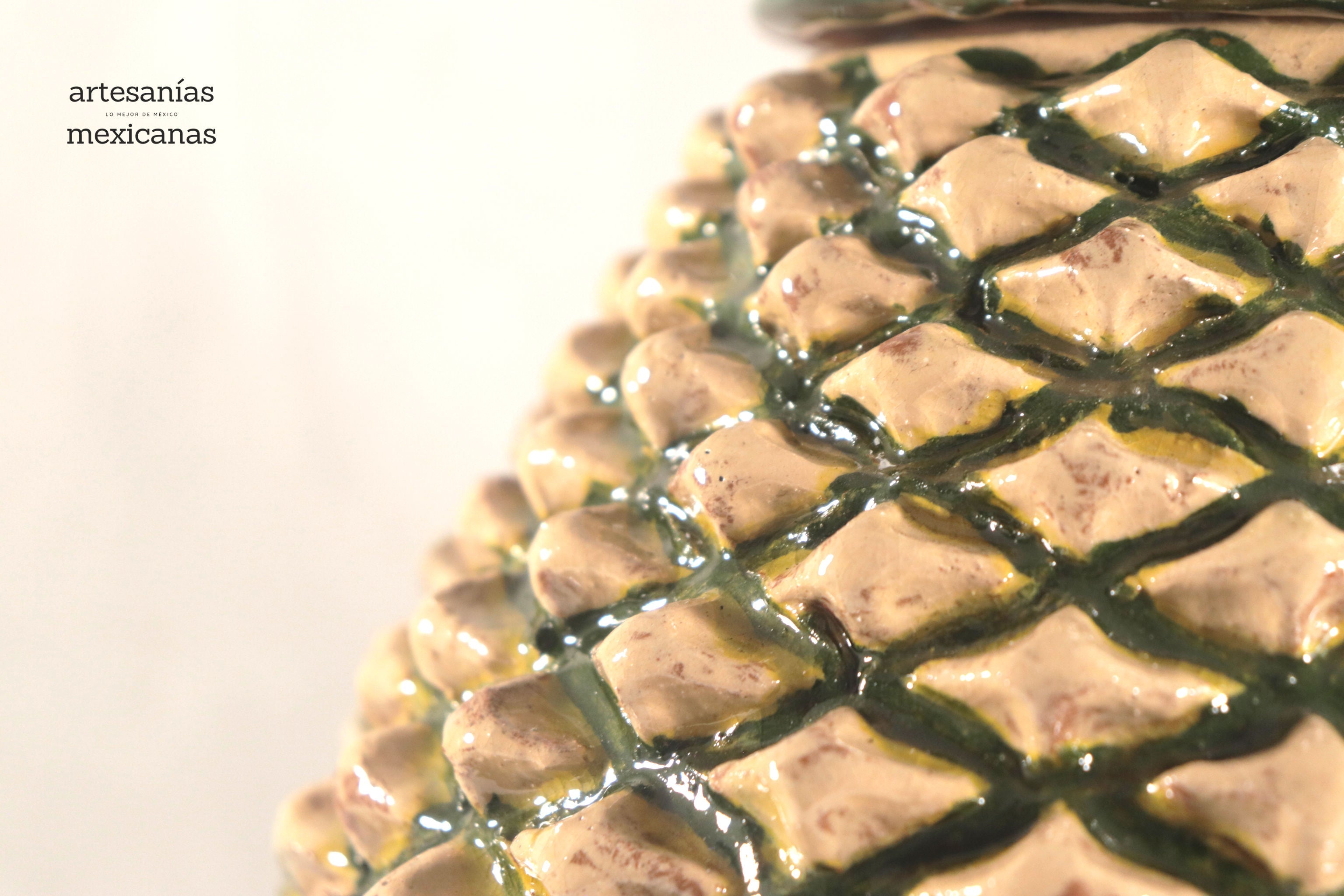 Pineapple of Agave Jimado - 20 in. Juan Gtz