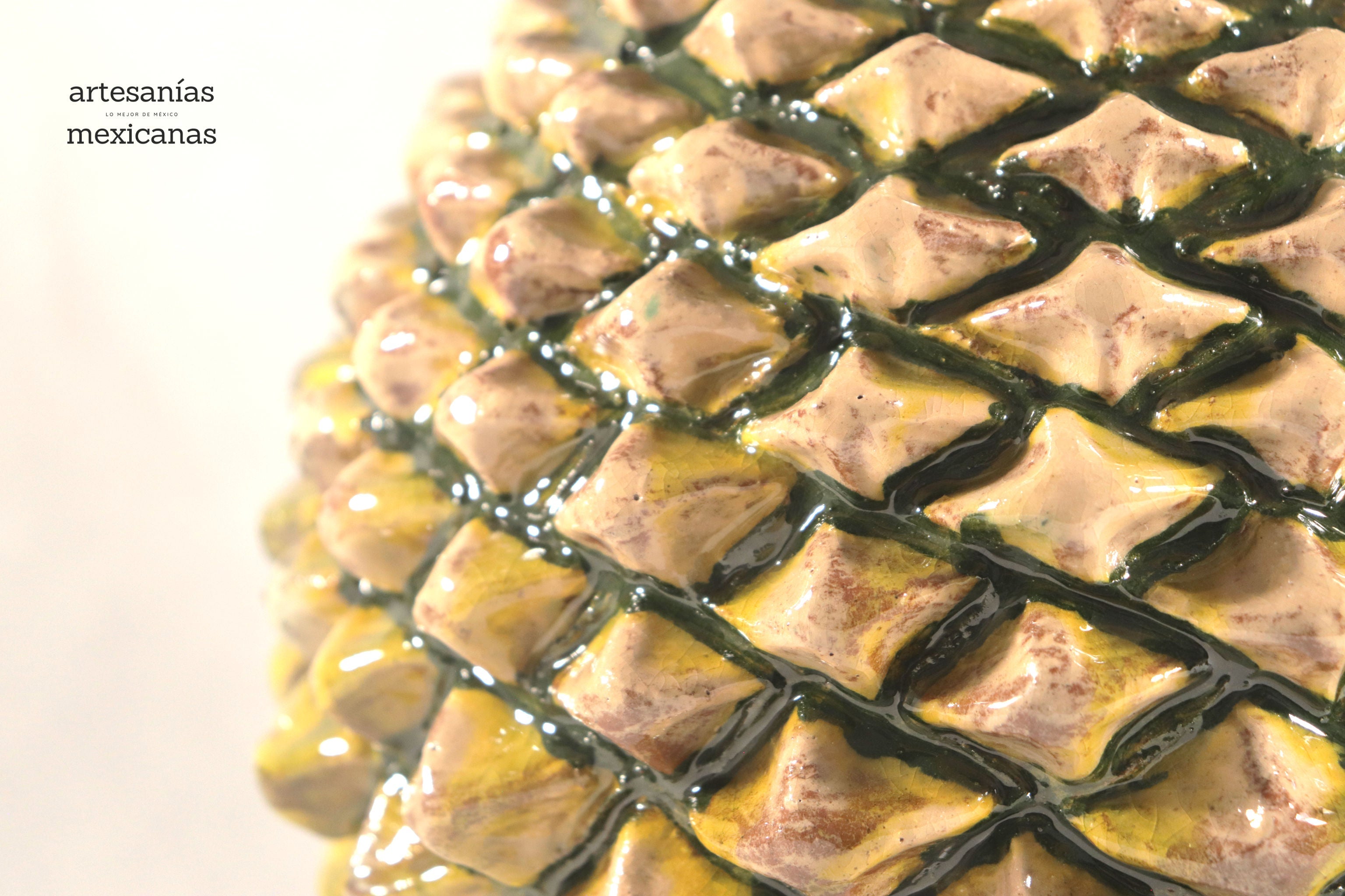Pineapple of Agave Jimado - 20 in. Juan Gtz