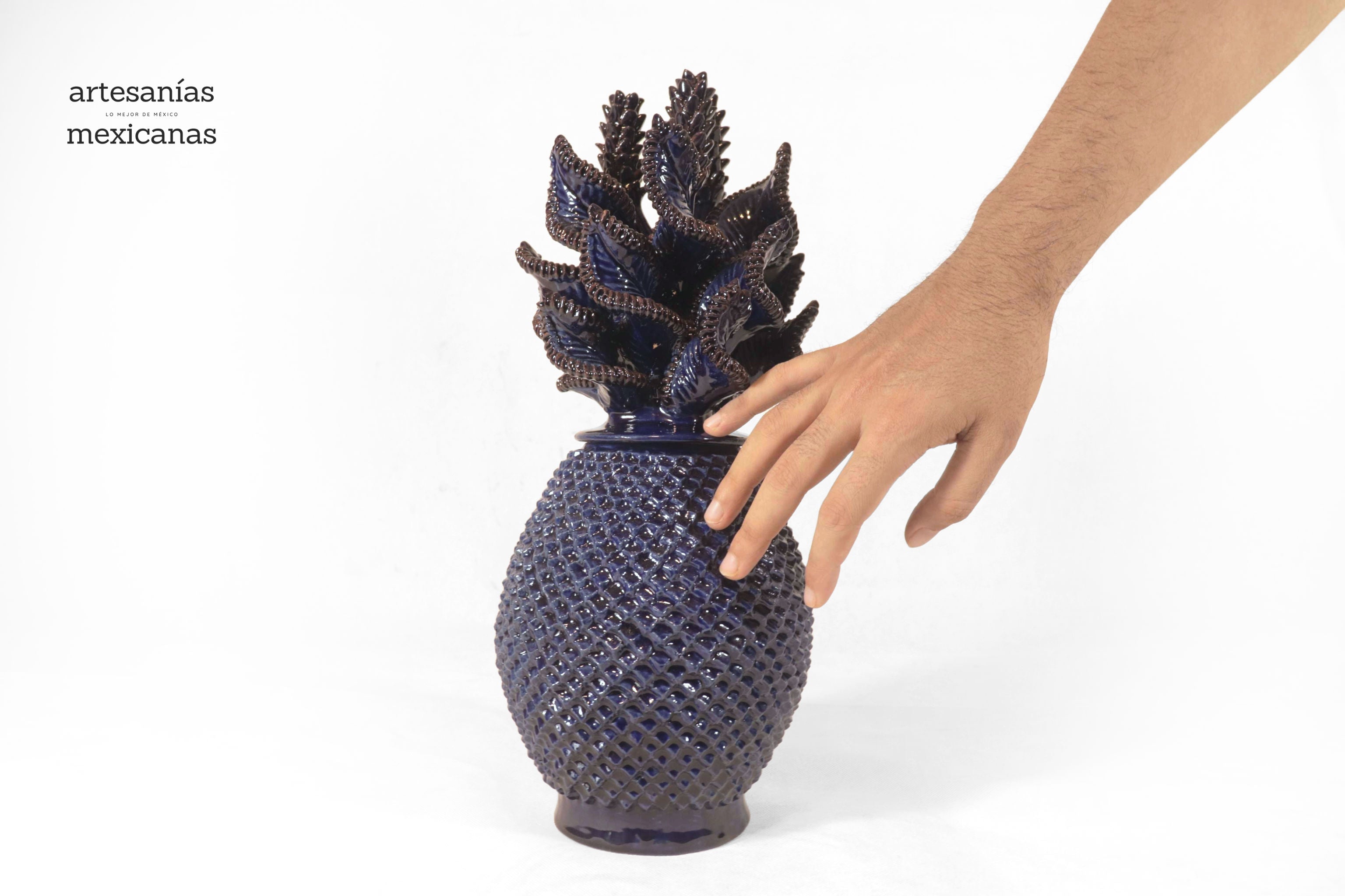 Blue Pineapple with Spikes with Leaves Curved - 15 in. Juan Gtz