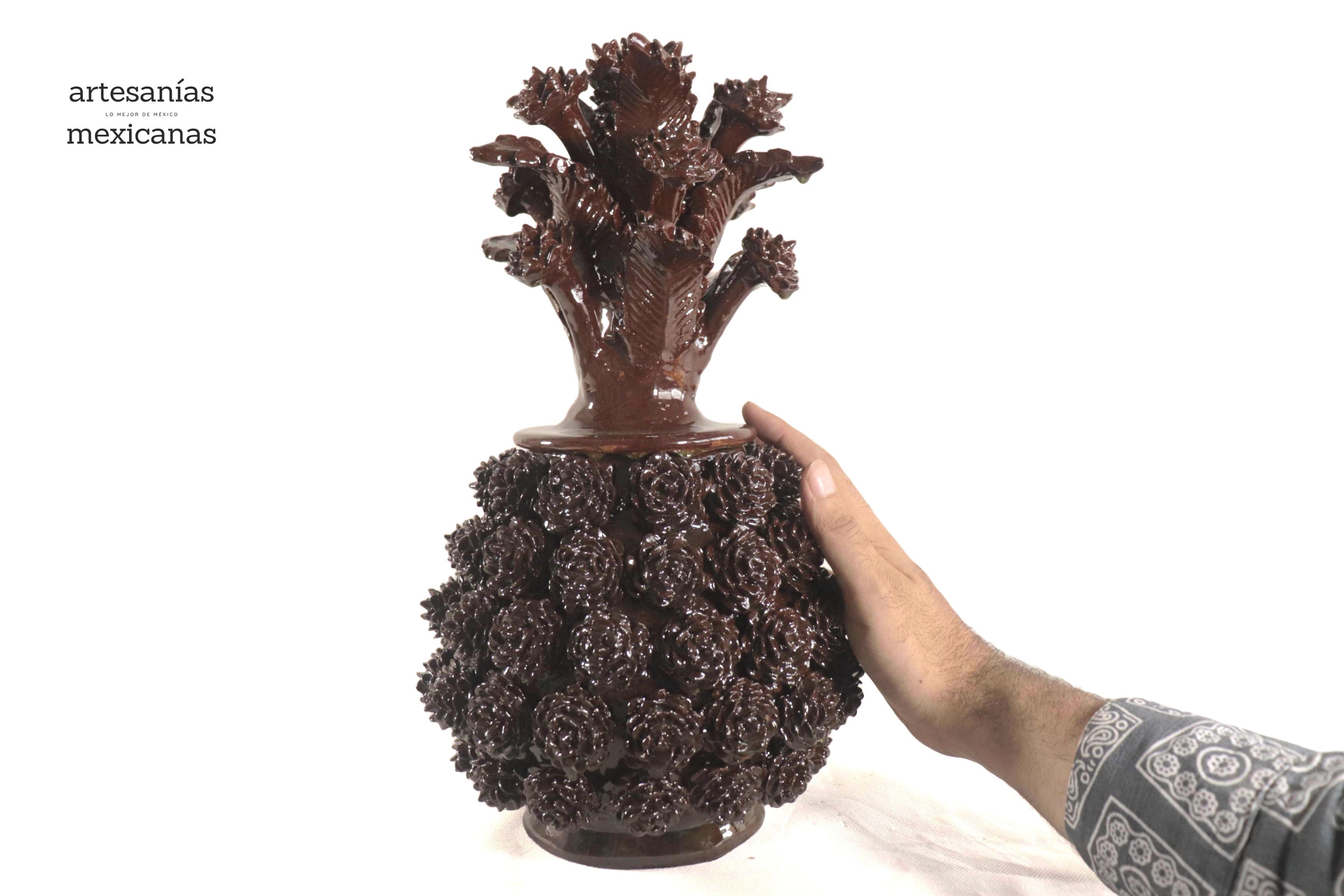 Pineapple of Pinklitos Brown - 14.5 in. - Made to Order Juan Gtz