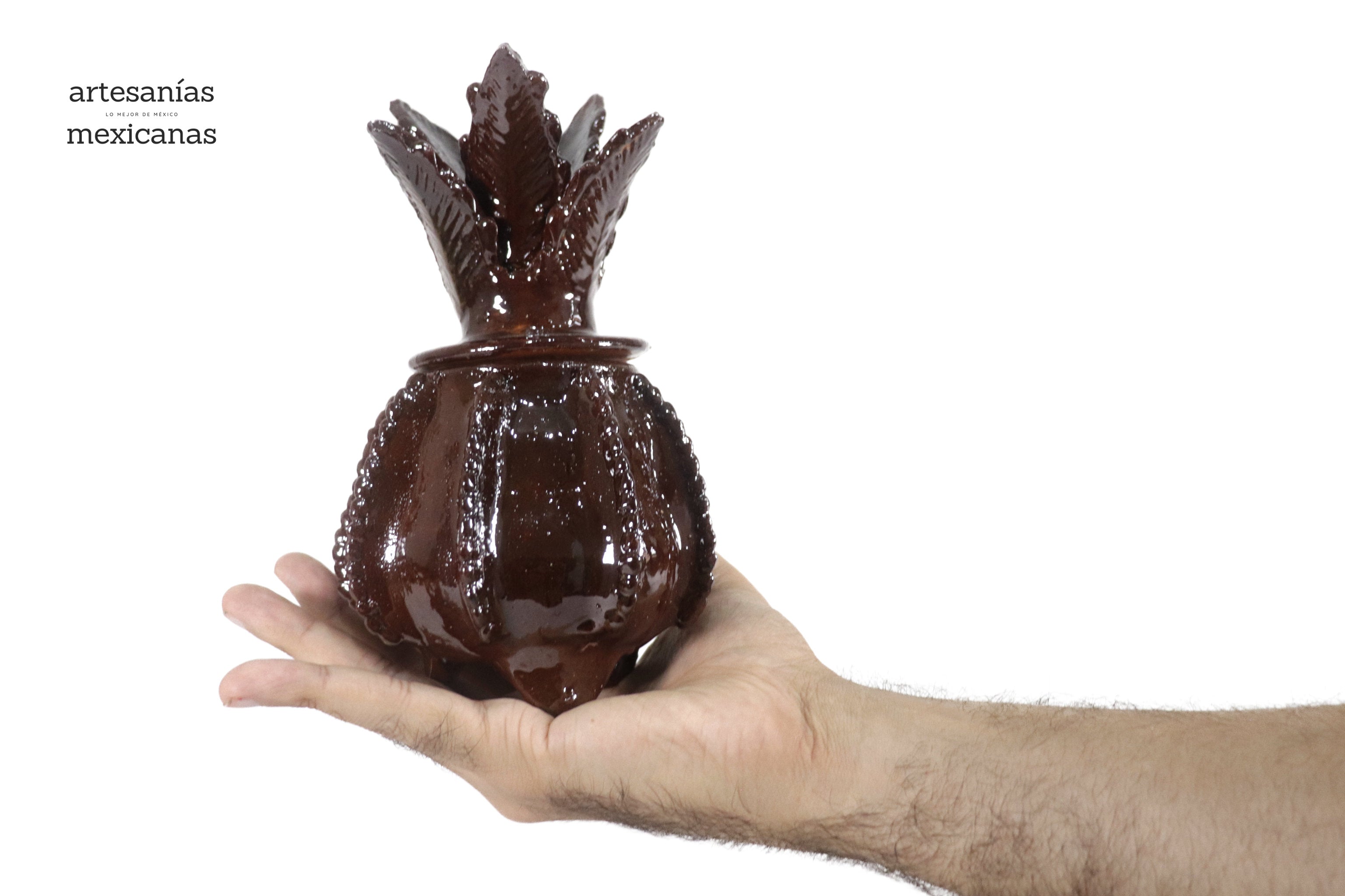 Michoacán Clay Pineapple - Small Brown barrel cactus - 7.7 in. Juan Gtz