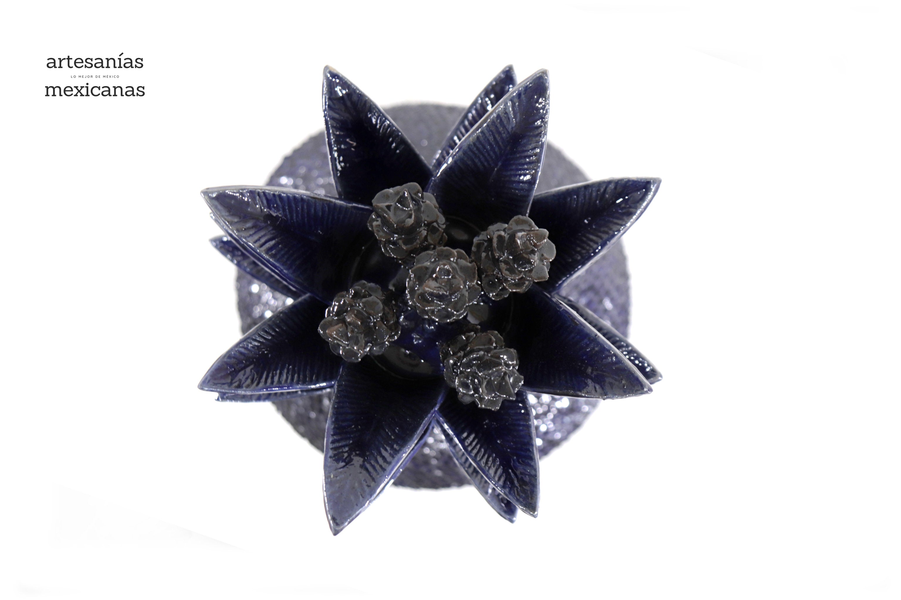 Blue Pineapple with Spikes - 36 in. Juan Gtz