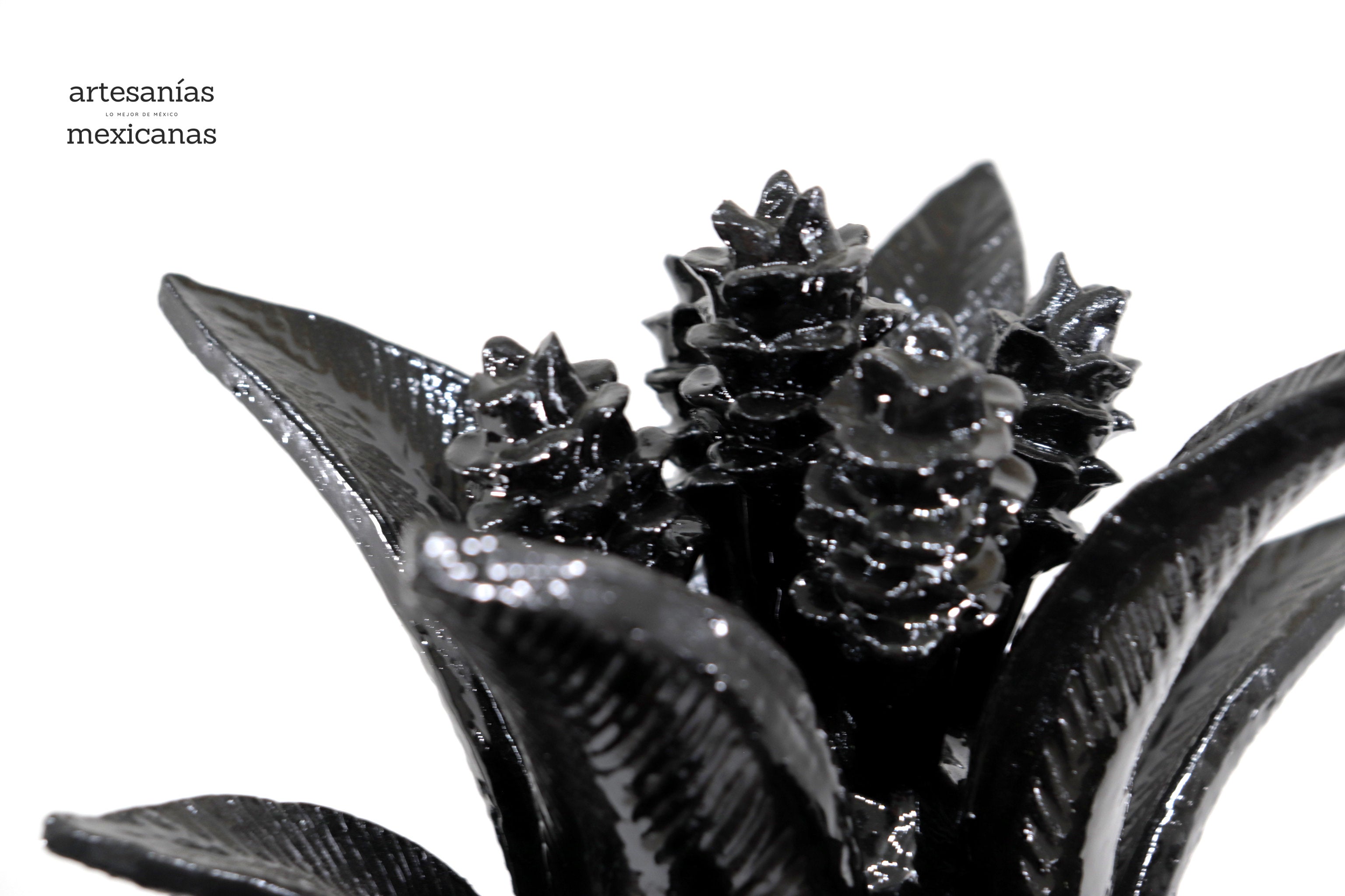 Pineapple black with Spikes - 36 in. Juan Gtz