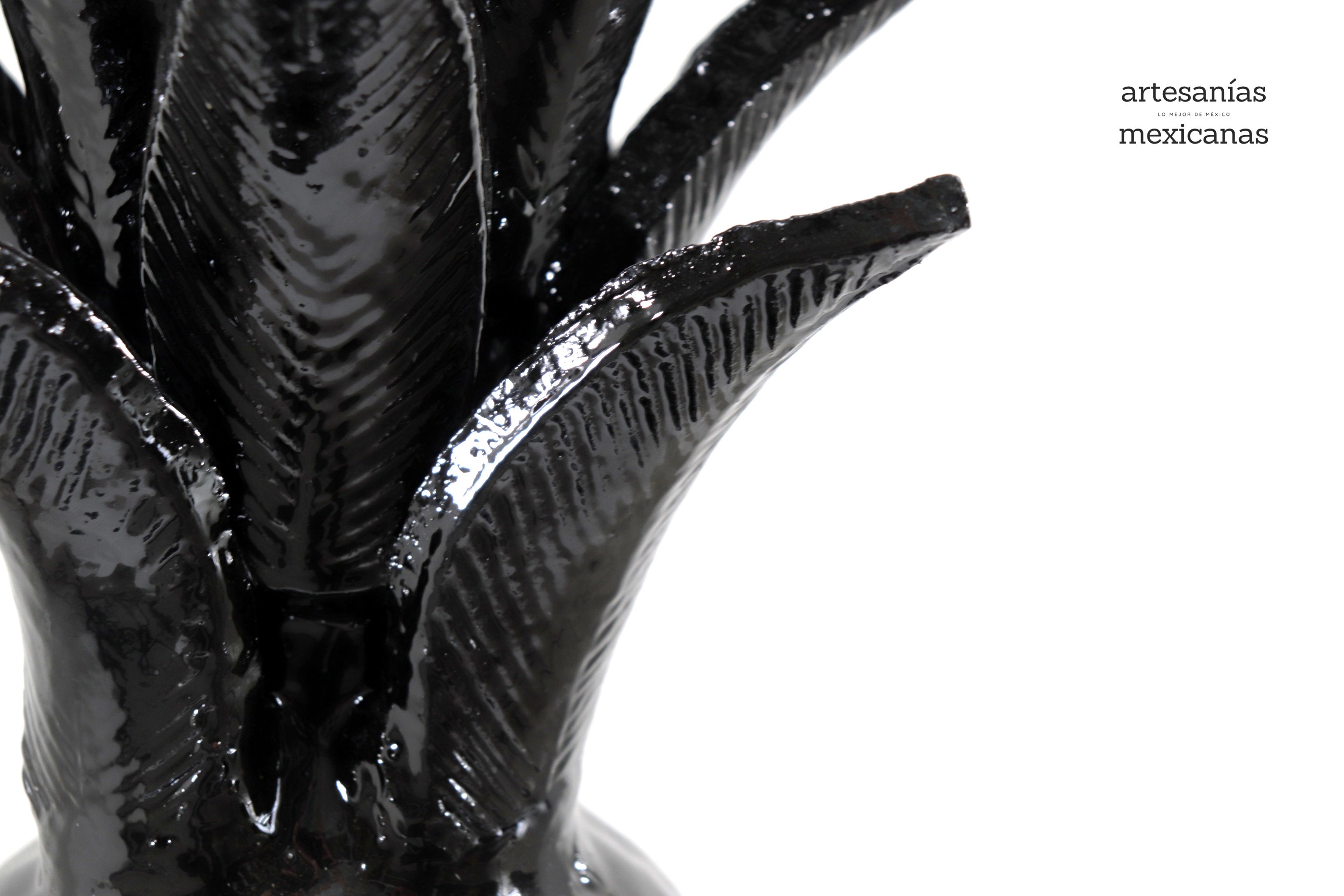Pineapple black with Spikes - 36 in. Juan Gtz