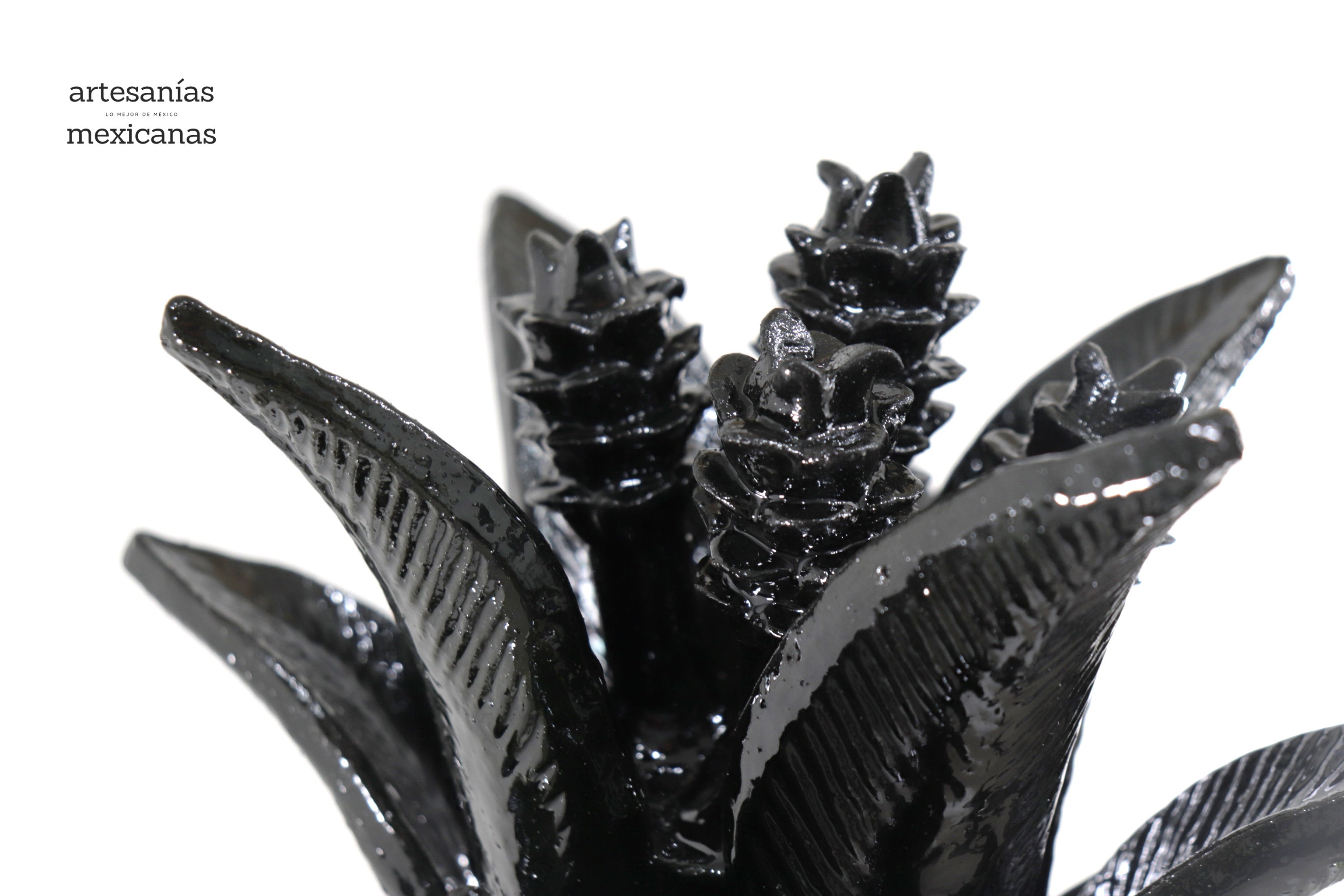 Pineapple black with Petals - 36 in. Juan Gtz
