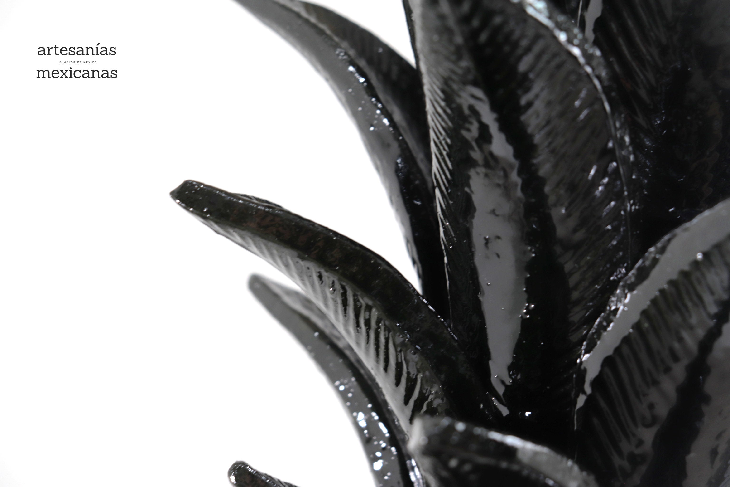 Pineapple black with Petals - 36 in. Juan Gtz