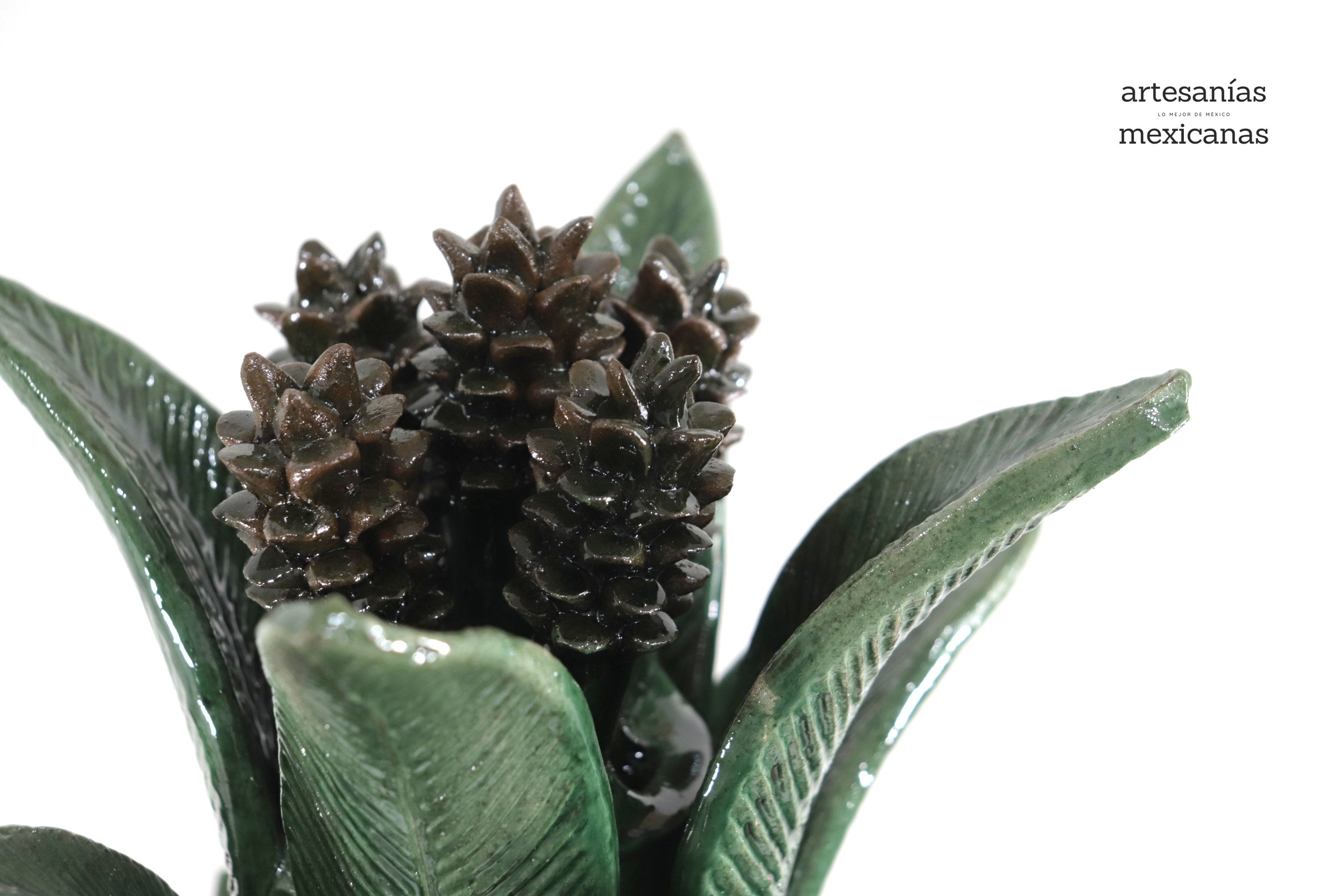 Green Pineapple with Petals - 36 in. Juan Gtz
