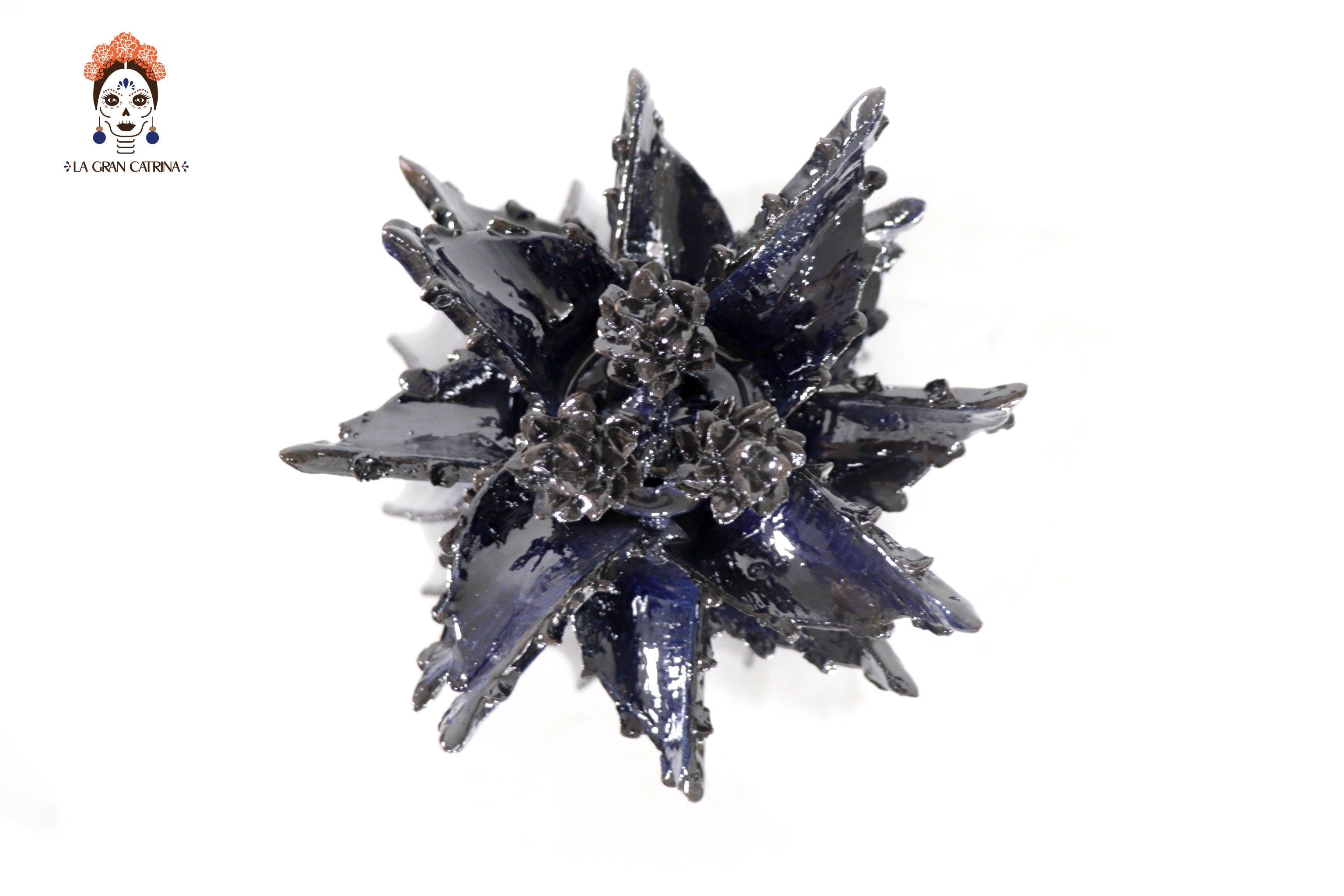 Blue Barrel Cactus Pineapple with Special Lid - 19.6 in. Juan Gtz