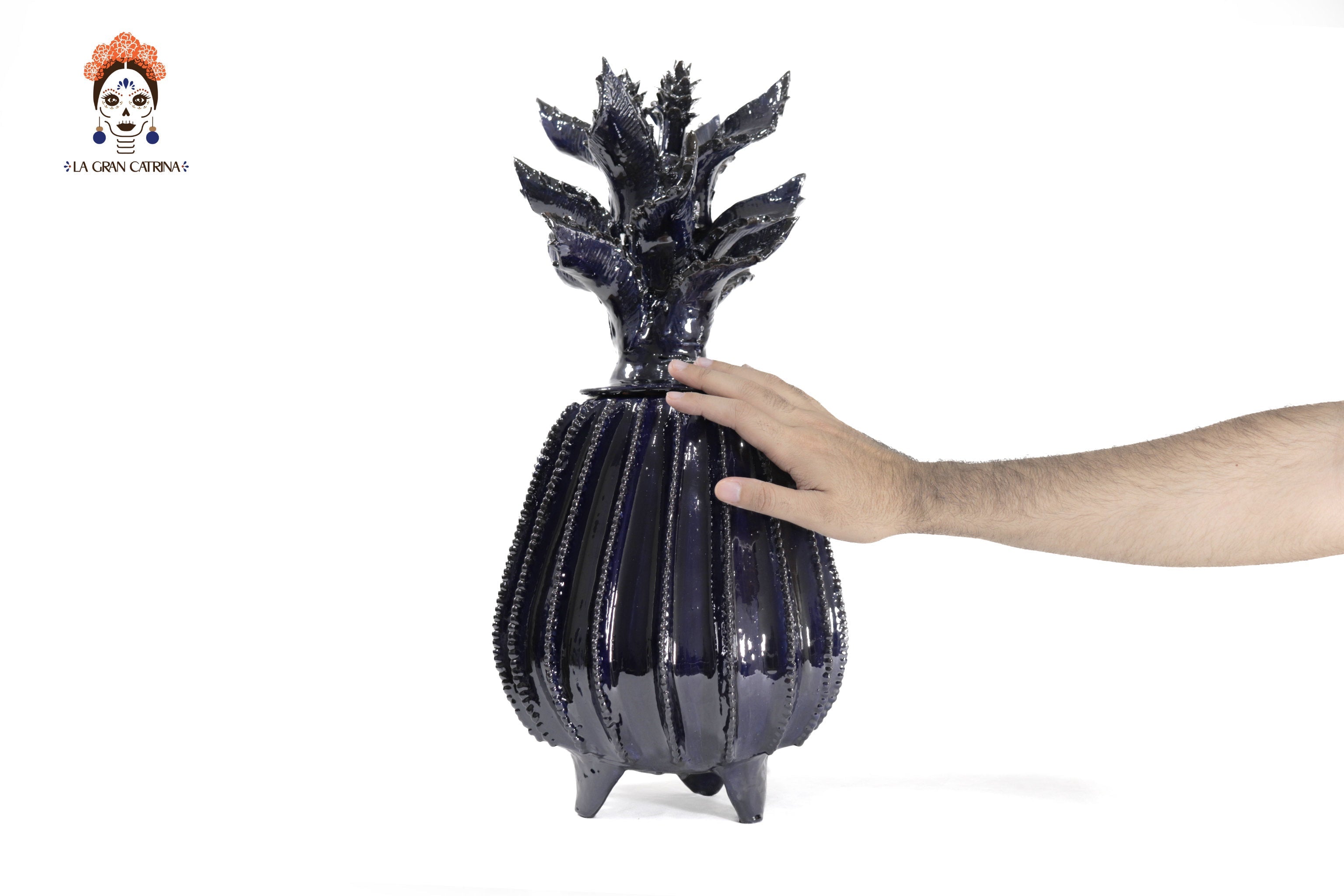 Blue Barrel Cactus Pineapple with Special Lid - 19.6 in. Juan Gtz