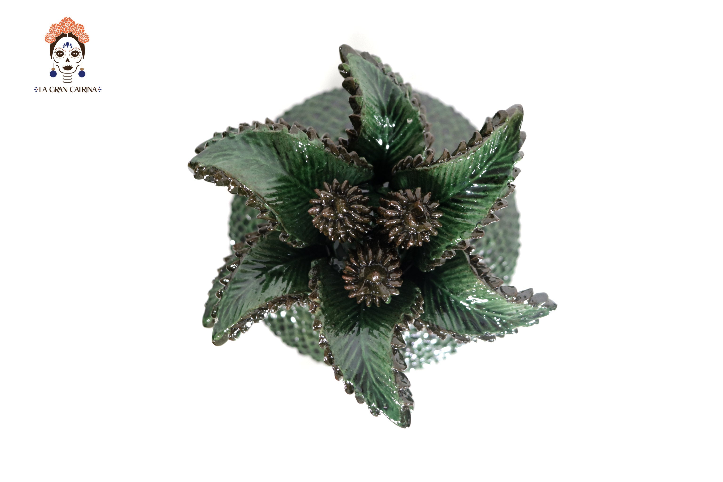 Green Pineapple with Spikes with Leaves Curved - 15 in. - Made to Order Juan Gtz