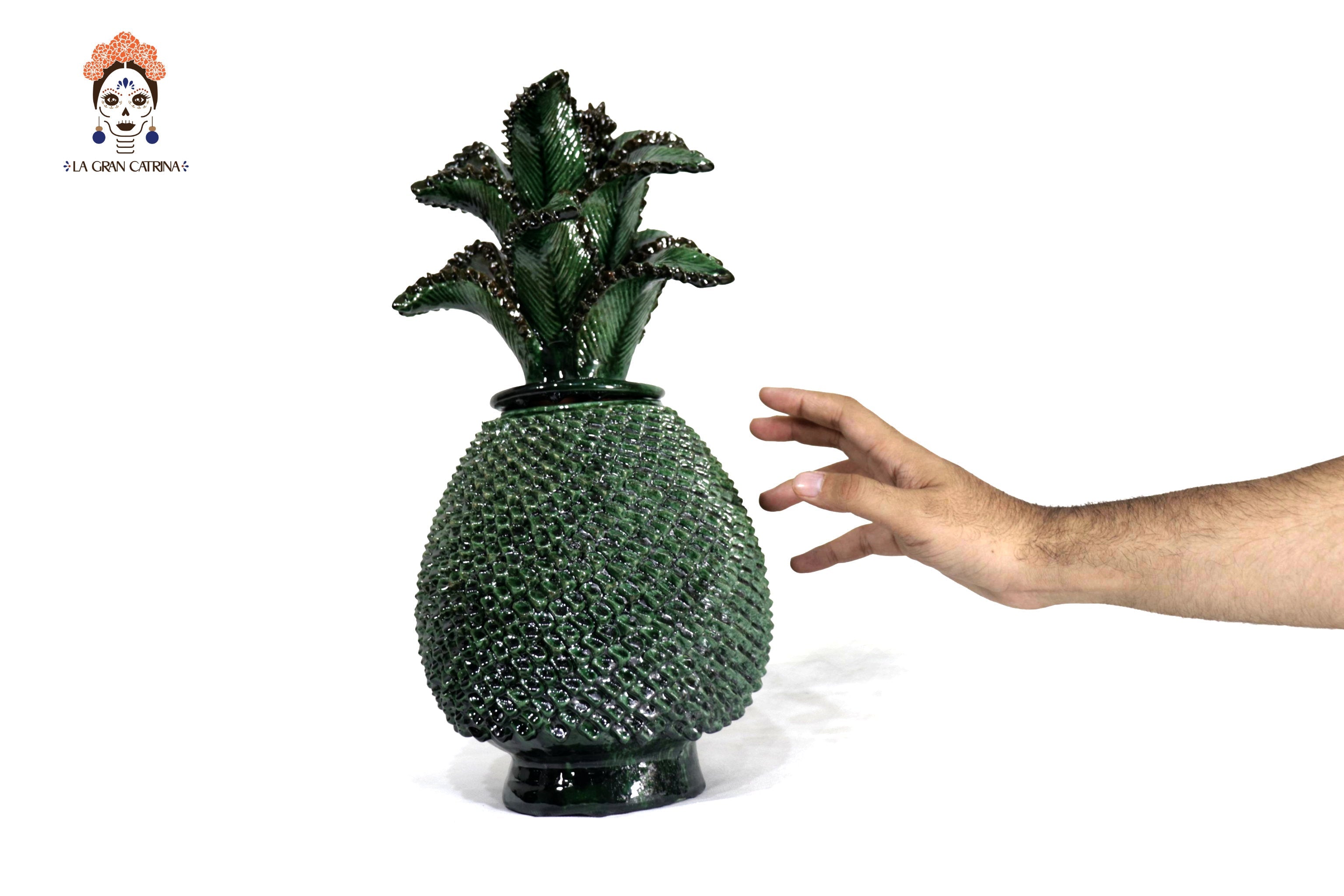 Green Pineapple with Spikes with Leaves Curved - 15 in. - Made to Order Juan Gtz