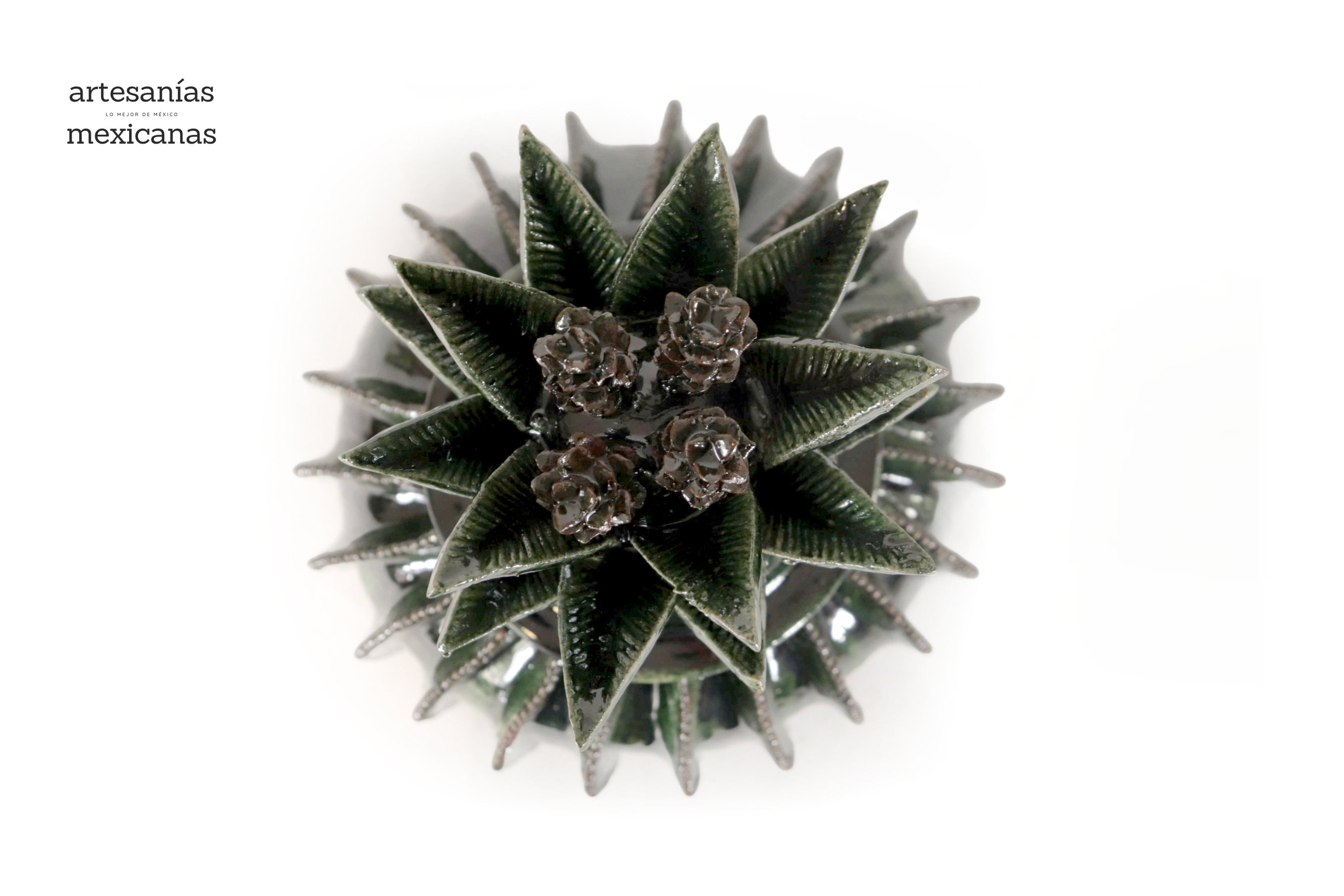 Michoacán Clay Pineapple - Green Barrel Cactus - 18 in. Juan Gtz