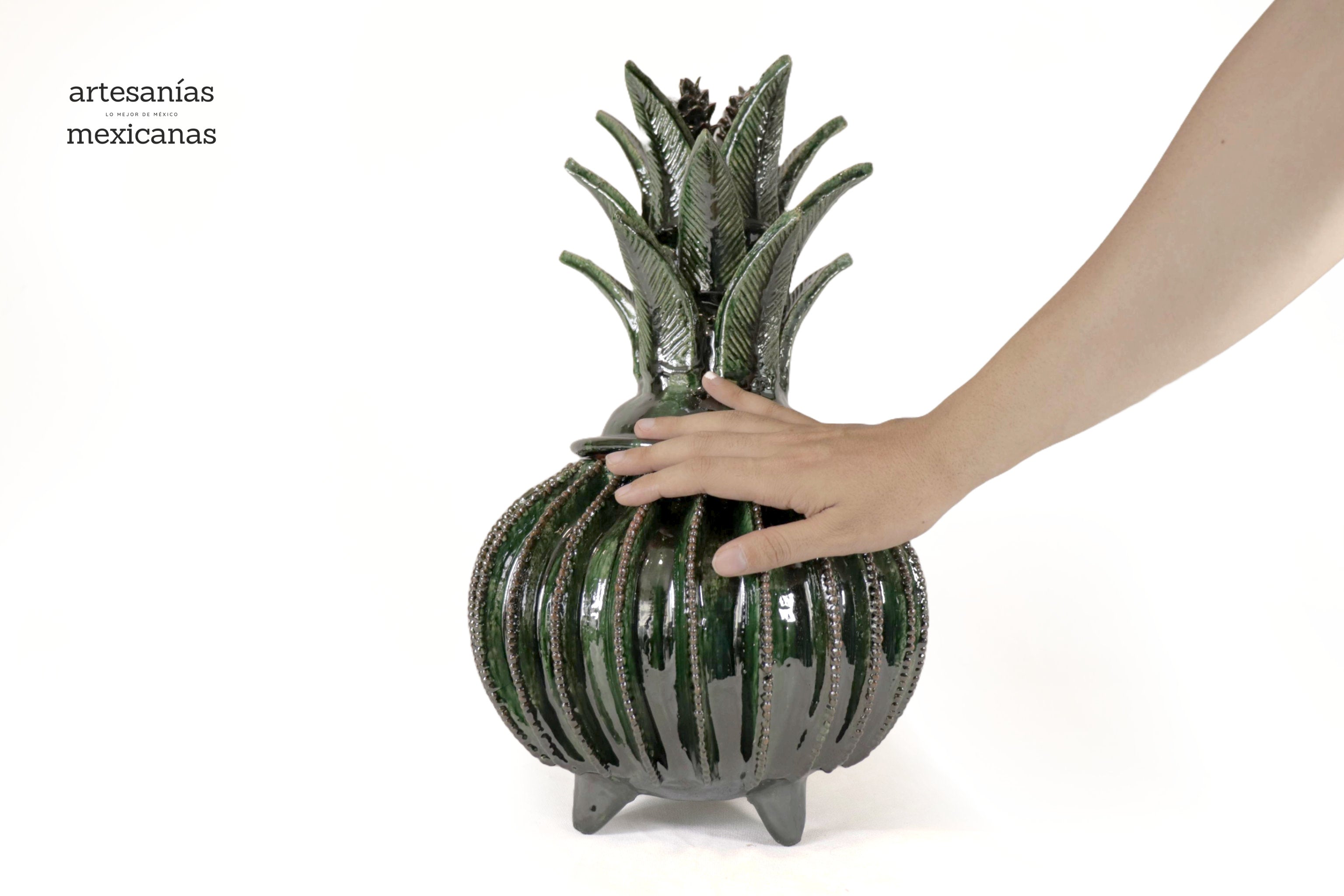 Michoacán Clay Pineapple - Green Barrel Cactus - 18 in. Juan Gtz