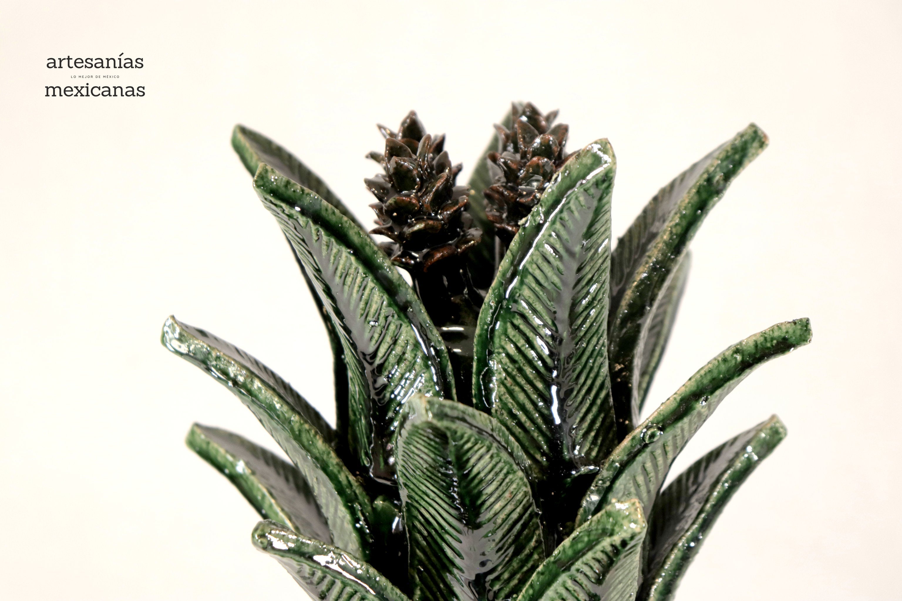 Michoacán Clay Pineapple - Green Barrel Cactus - 18 in. Juan Gtz