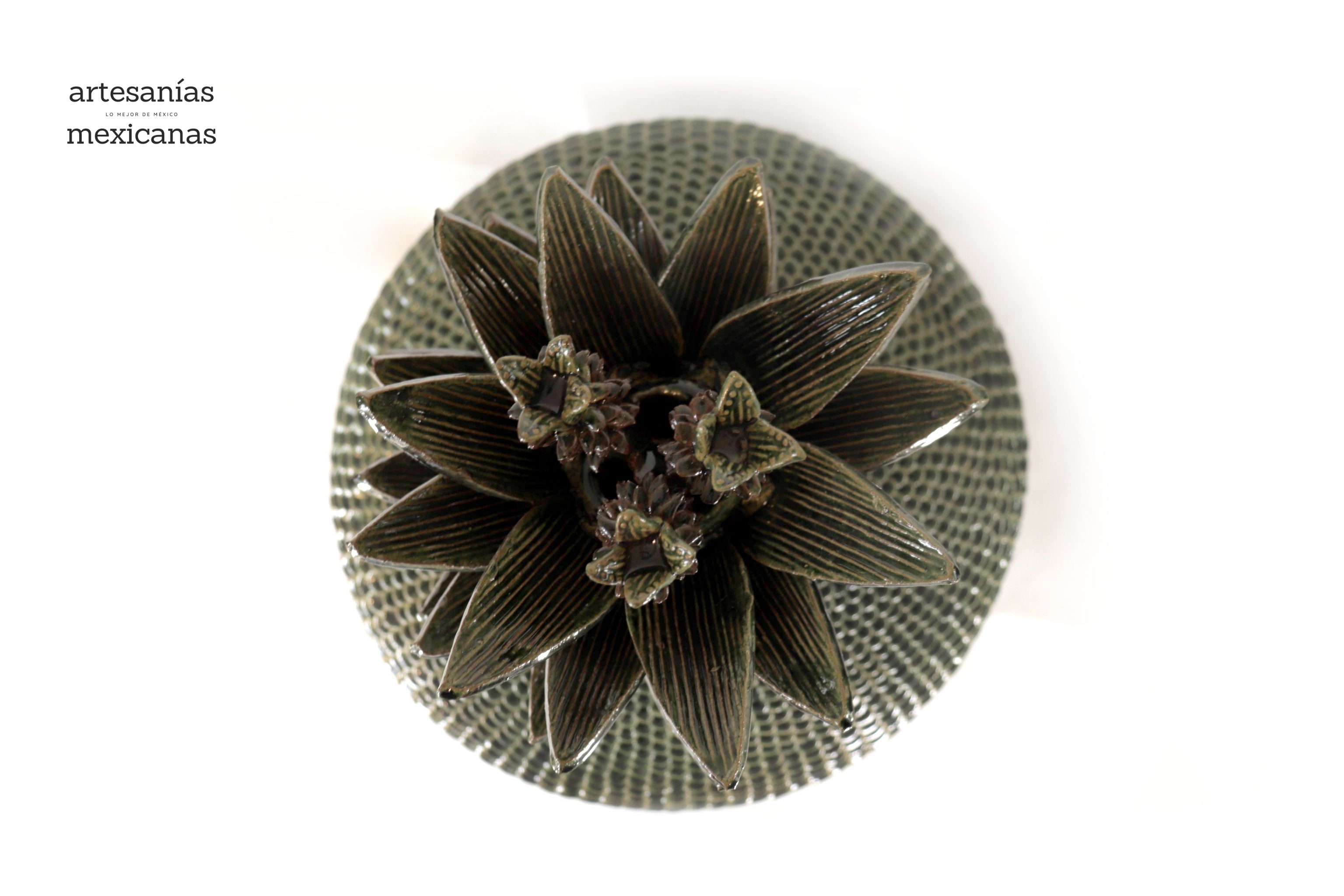 Michoacán Clay Pineapple - Saucer green - Petals finos - 24 in. - Made to Order Chema SJG