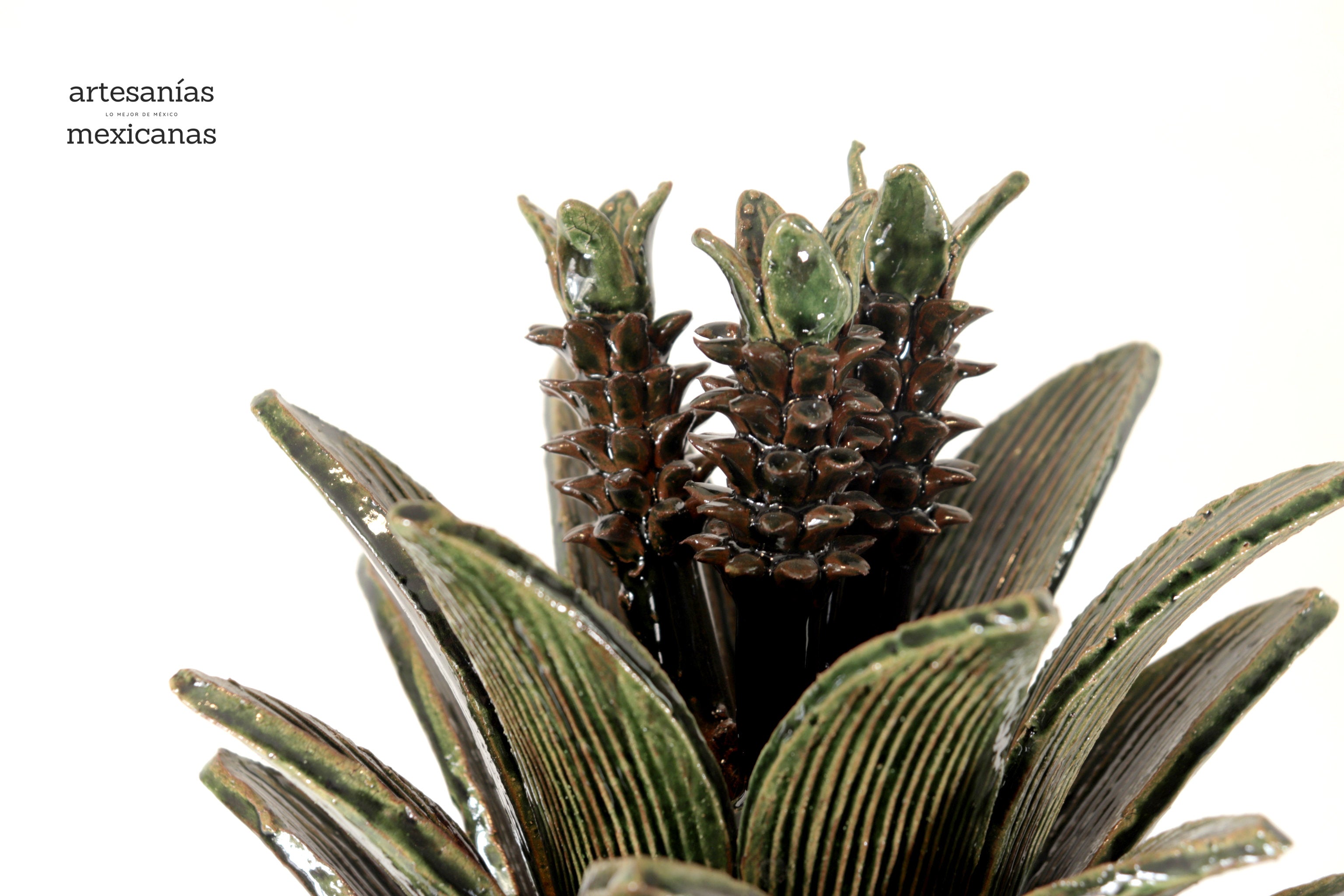 Michoacán Clay Pineapple - Saucer green - Petals finos - 24 in. - Made to Order Chema SJG