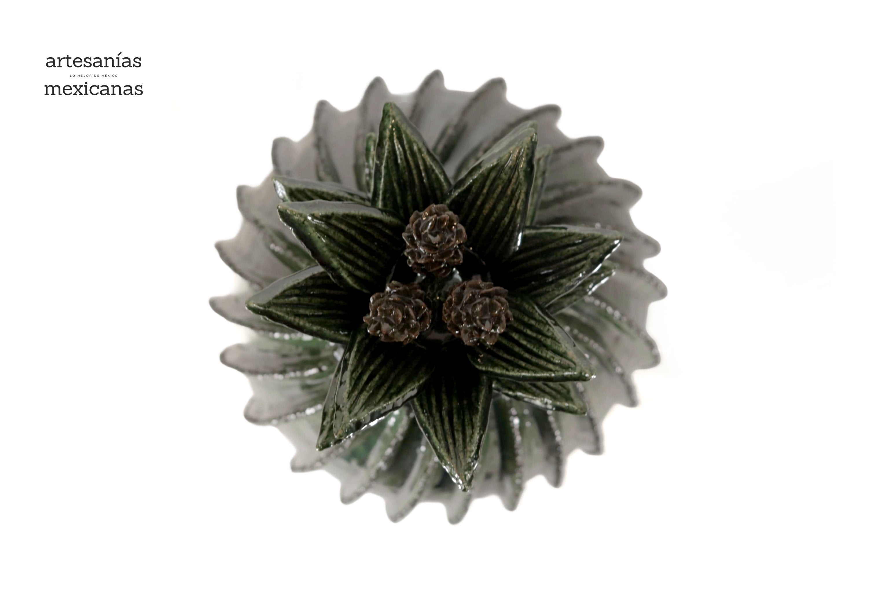Michoacán Clay Pineapple - 26 in. - Green Barrel Cactus Juan Gtz