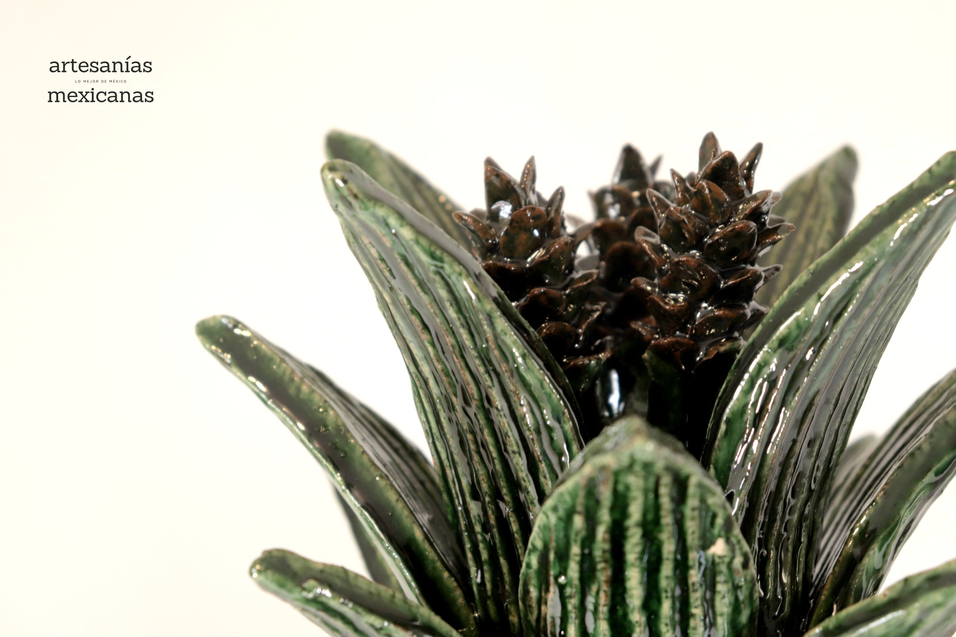 Michoacán Clay Pineapple - 26 in. - Green Barrel Cactus Juan Gtz