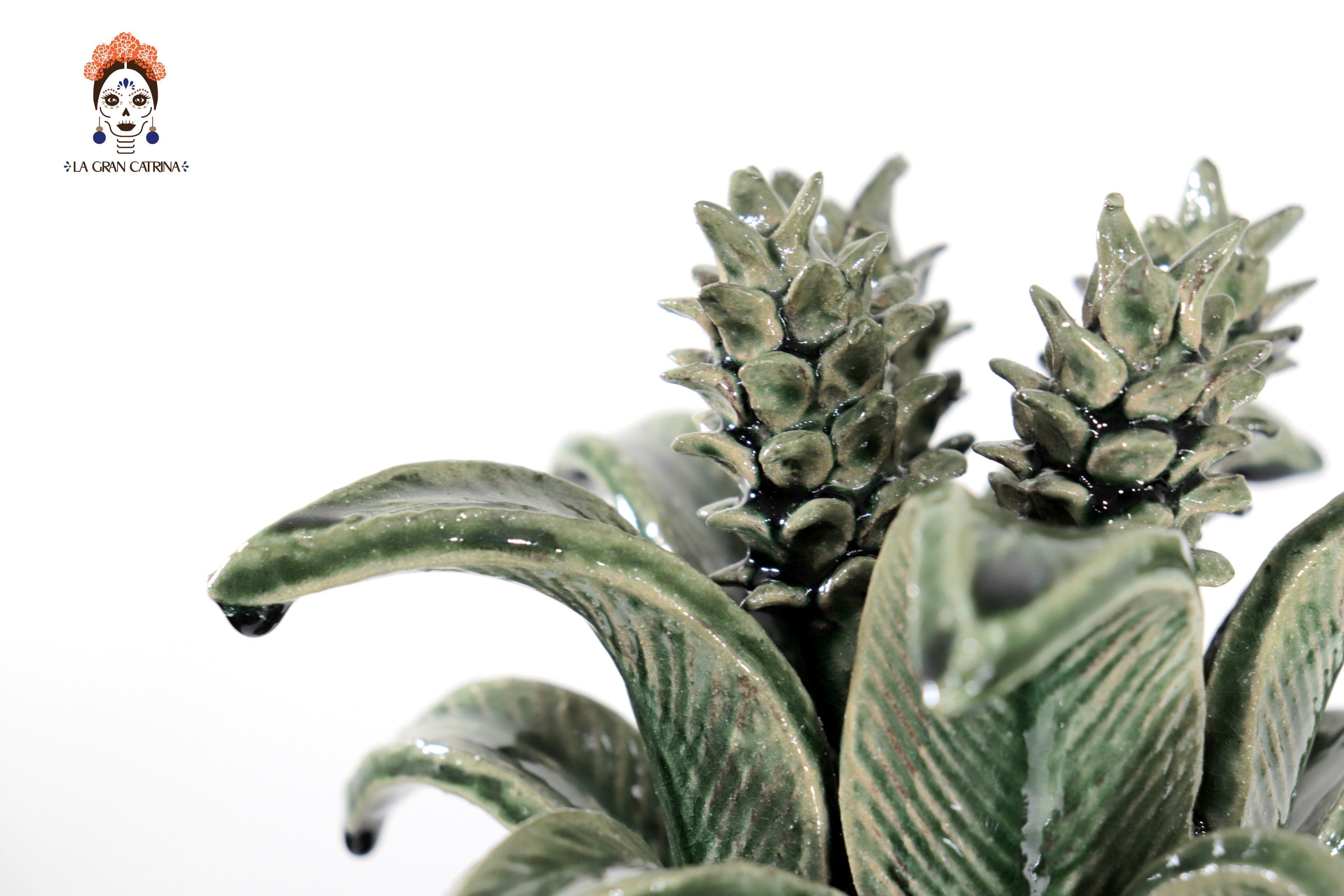 Green Pineapple with Leaves of curved lid - 20 in. Juan Gtz