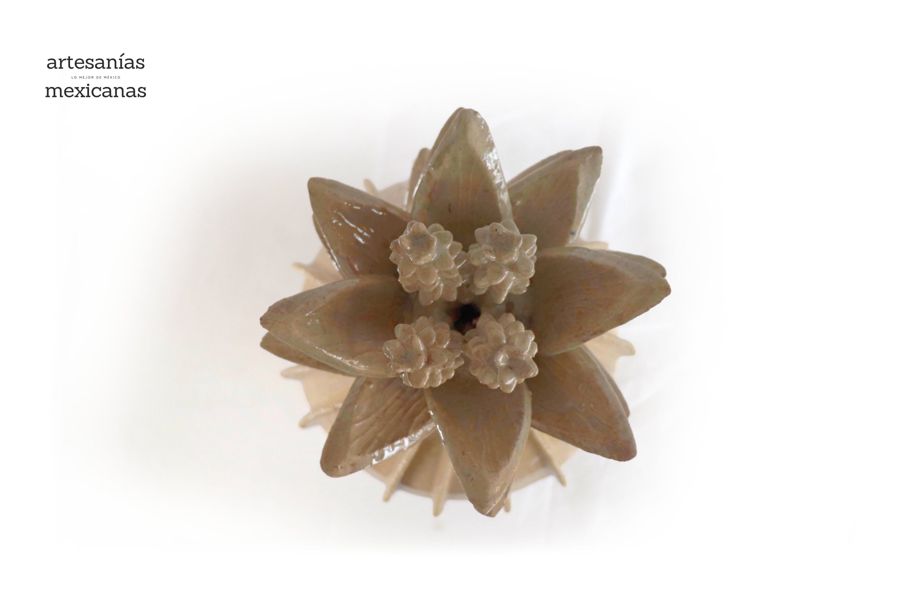 Barrel Cactus Beige Pineapple - 28 in. - Made to Order Chema SJG