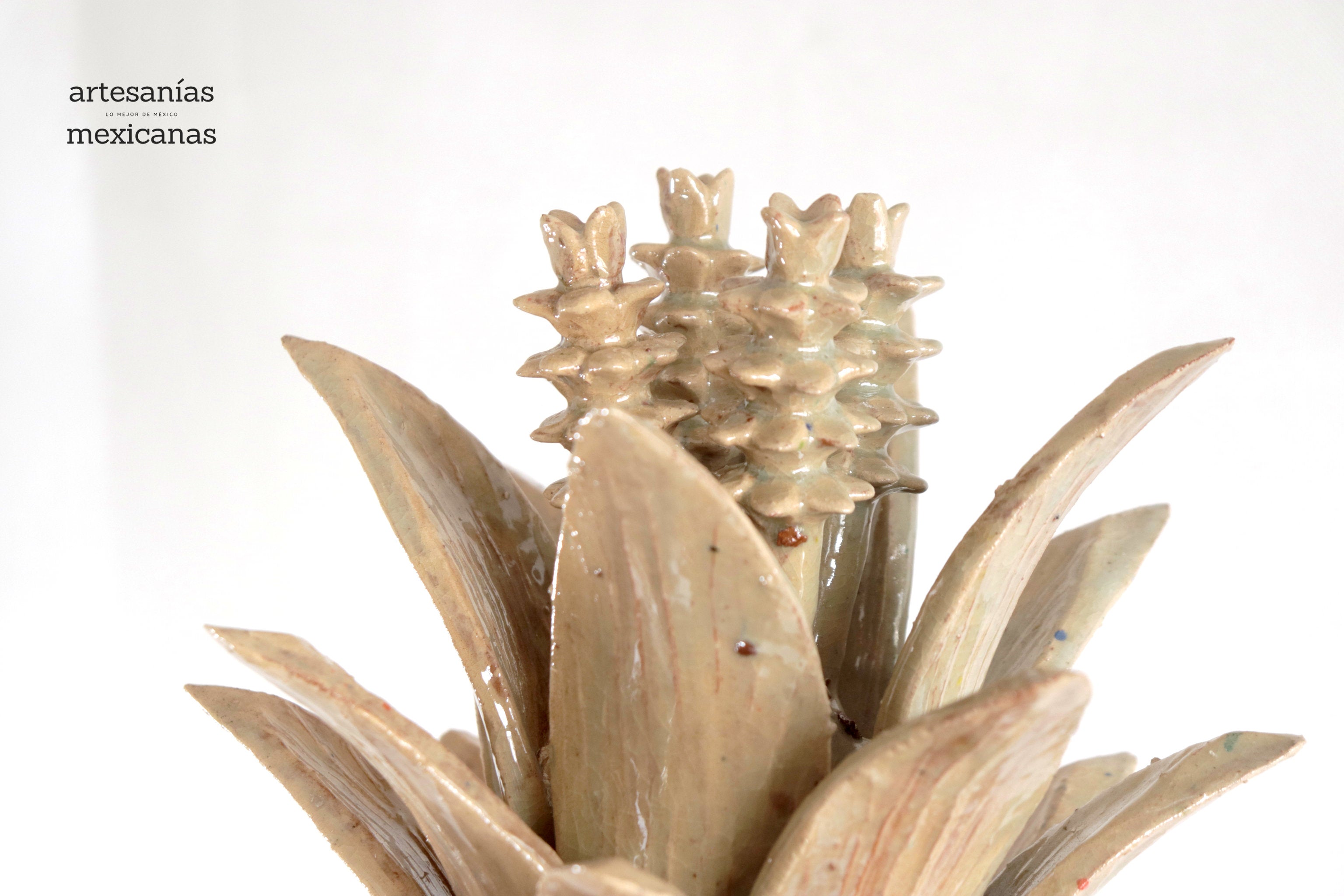 Barrel Cactus Beige Pineapple - 28 in. - Made to Order Chema SJG