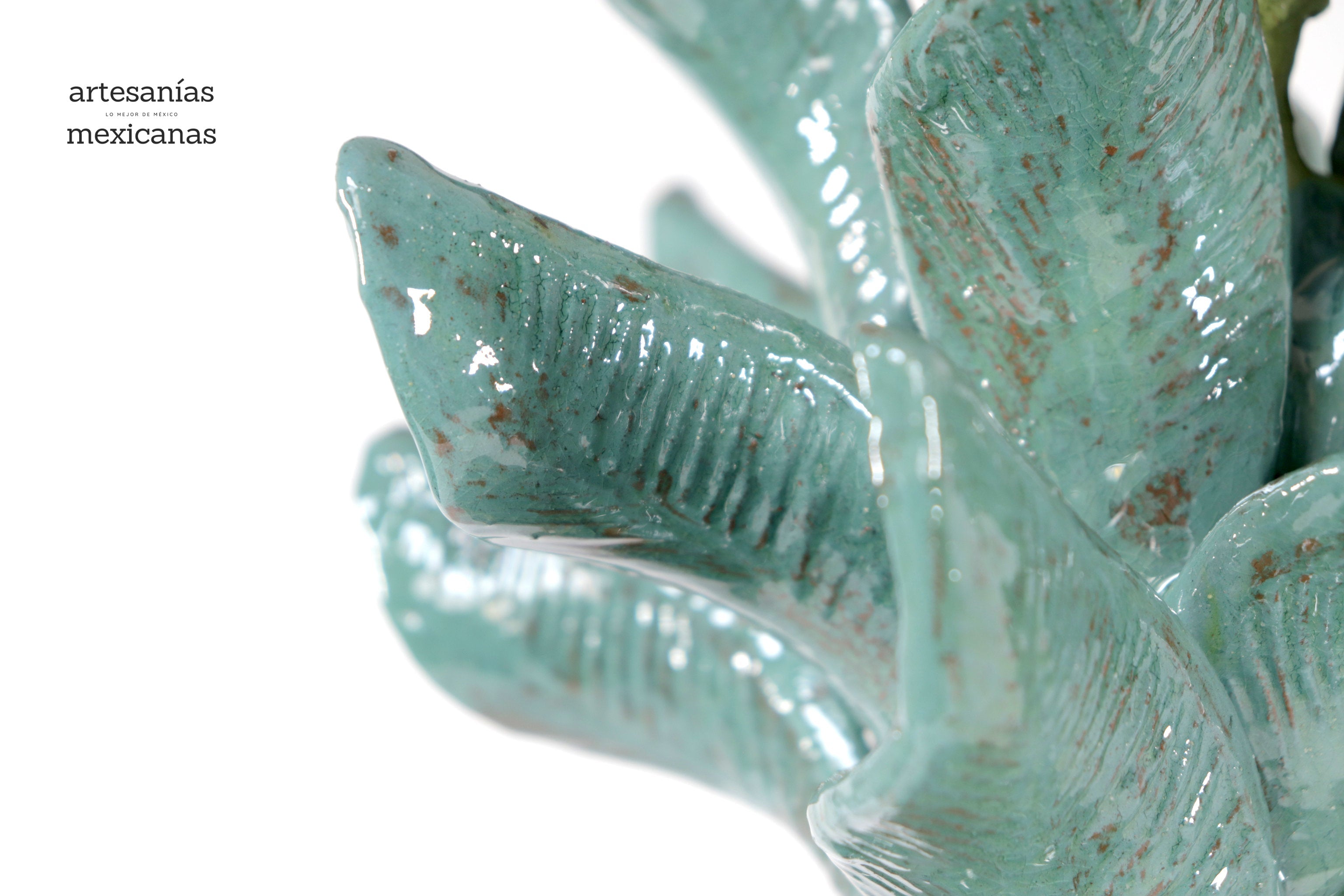 Barrel Cactus Pineapple turquoise with Olive - 18.8 in. - Made to Order Juan Gtz