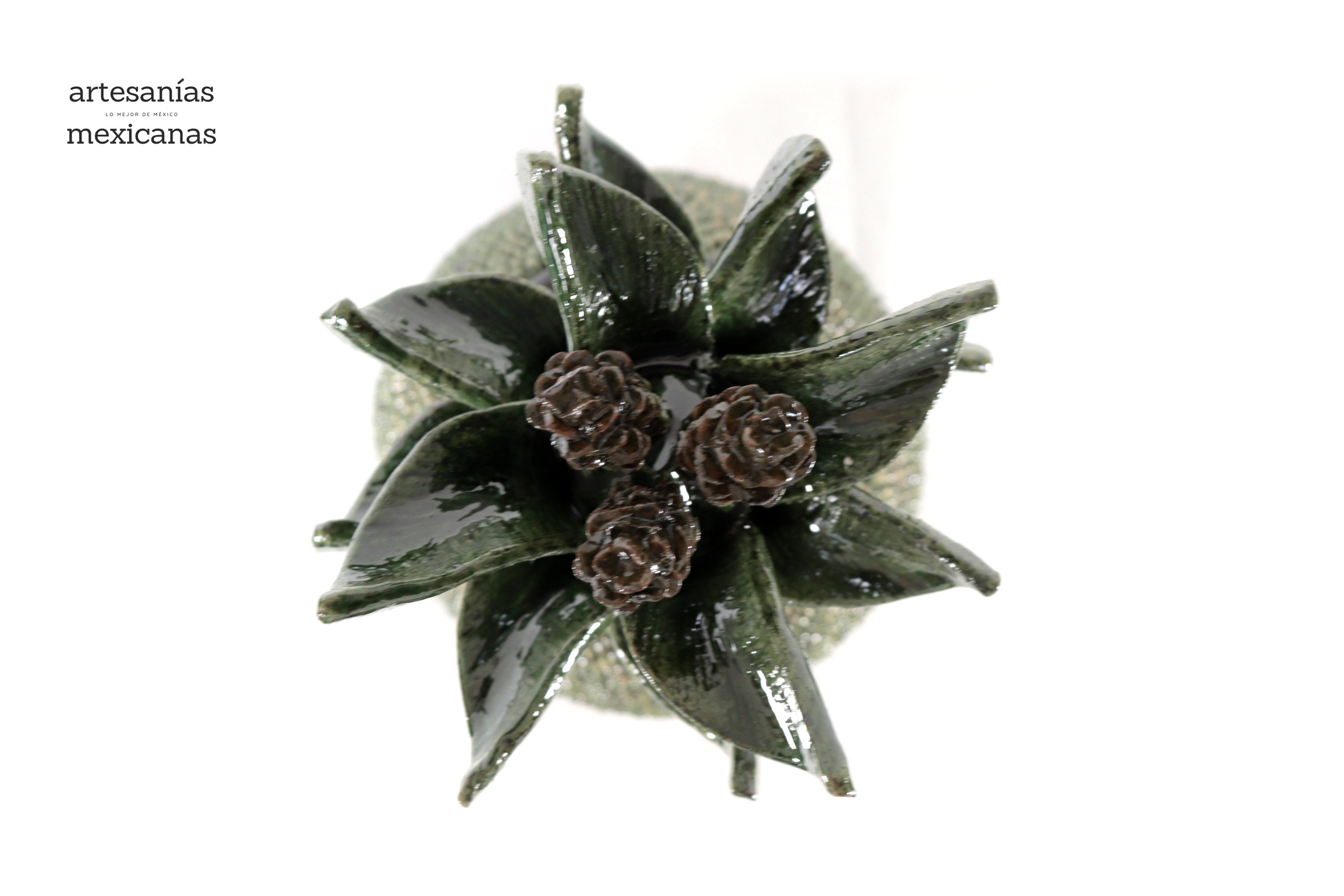 Pineapple with Spikes Green Wavy Lid - 20 in. - Made to Order Juan Gtz
