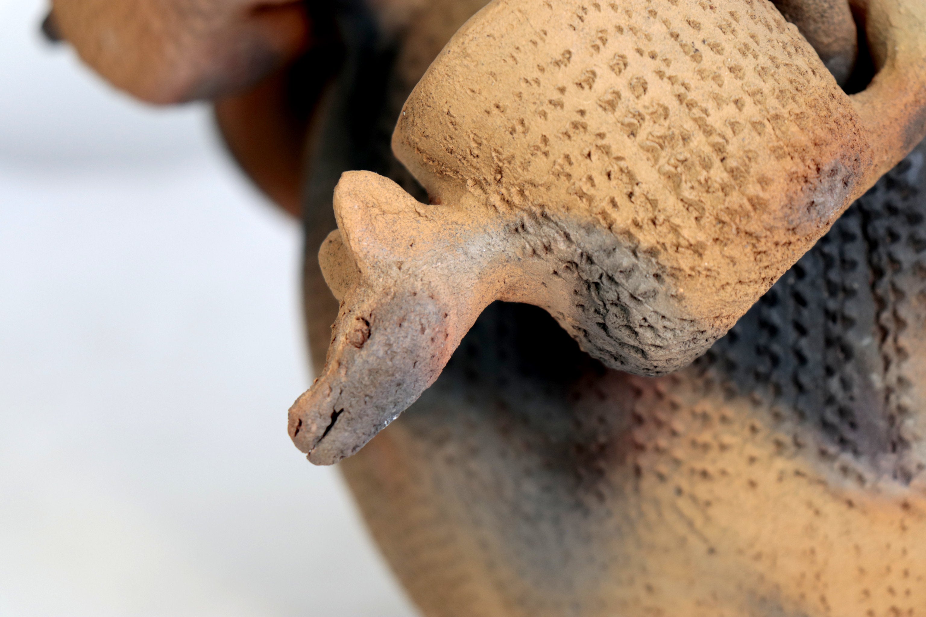 Anteater Punch Bowl of Natural Clay - 14.1 in. Zipiajo