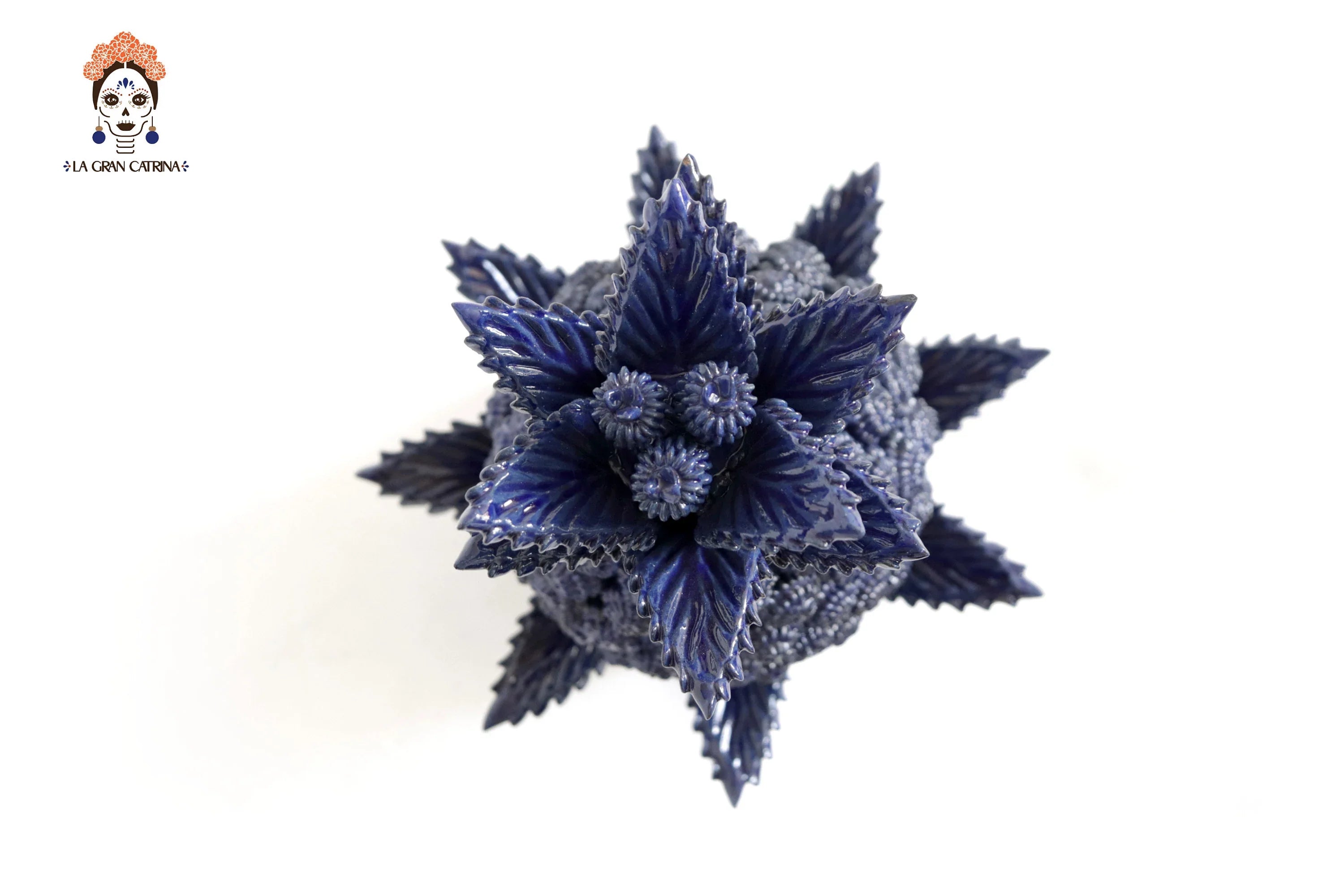 Michoacán Pineapple of Contest blue - 20 in. - in. Production Juan Gtz