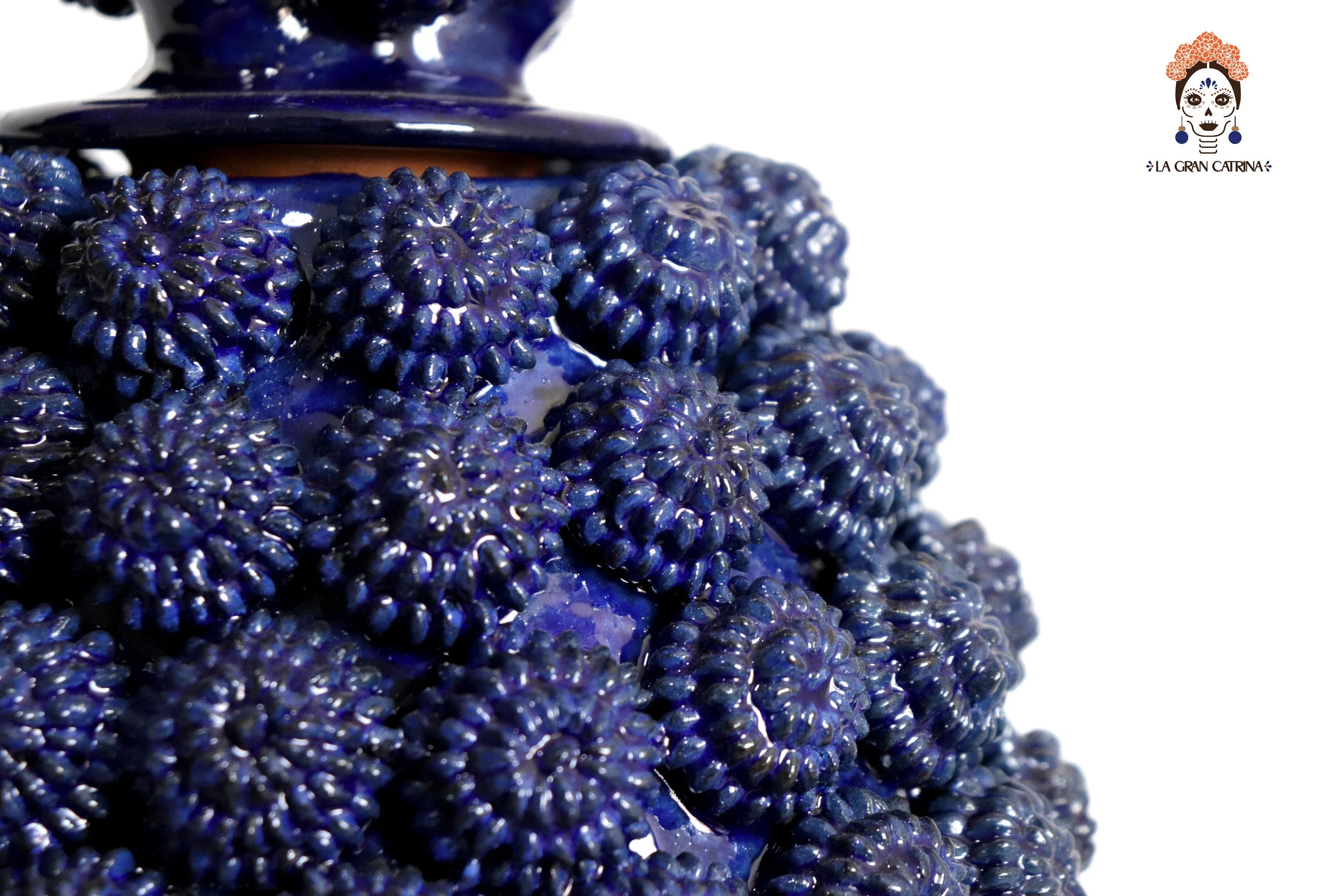 Michoacán Pineapple of Contest blue - 20 in. - in. Production Juan Gtz