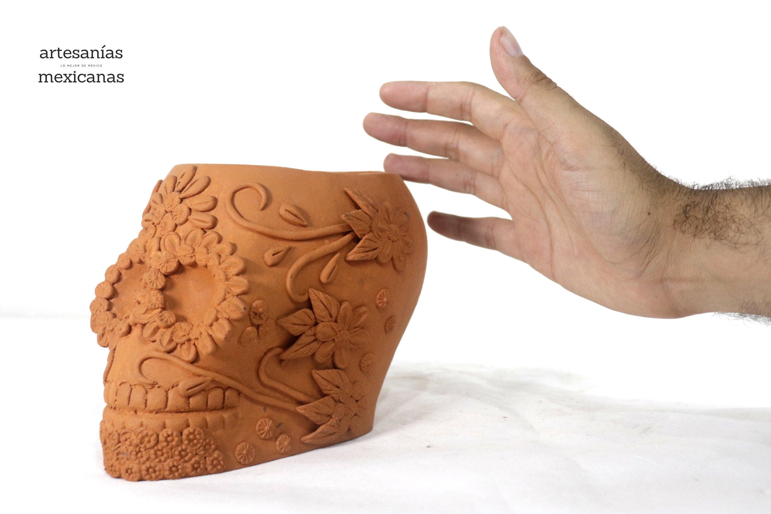 Planter Skull Natural Clay with Flowers Relieve - 6.2 in. Brenda Capula