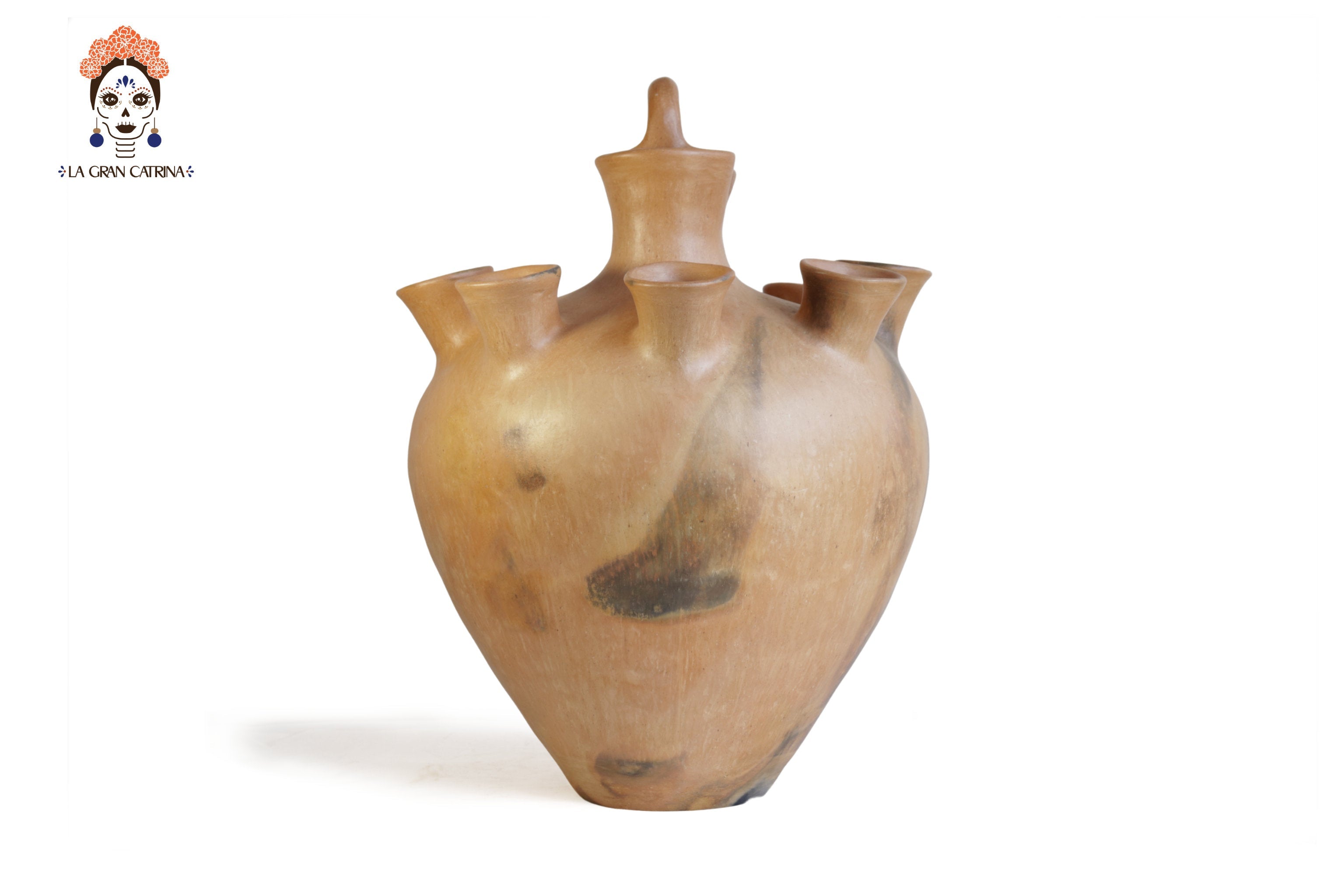 Vessel Ancestral Mixe of 10 openings - 20.8 in. Silvia Mixe