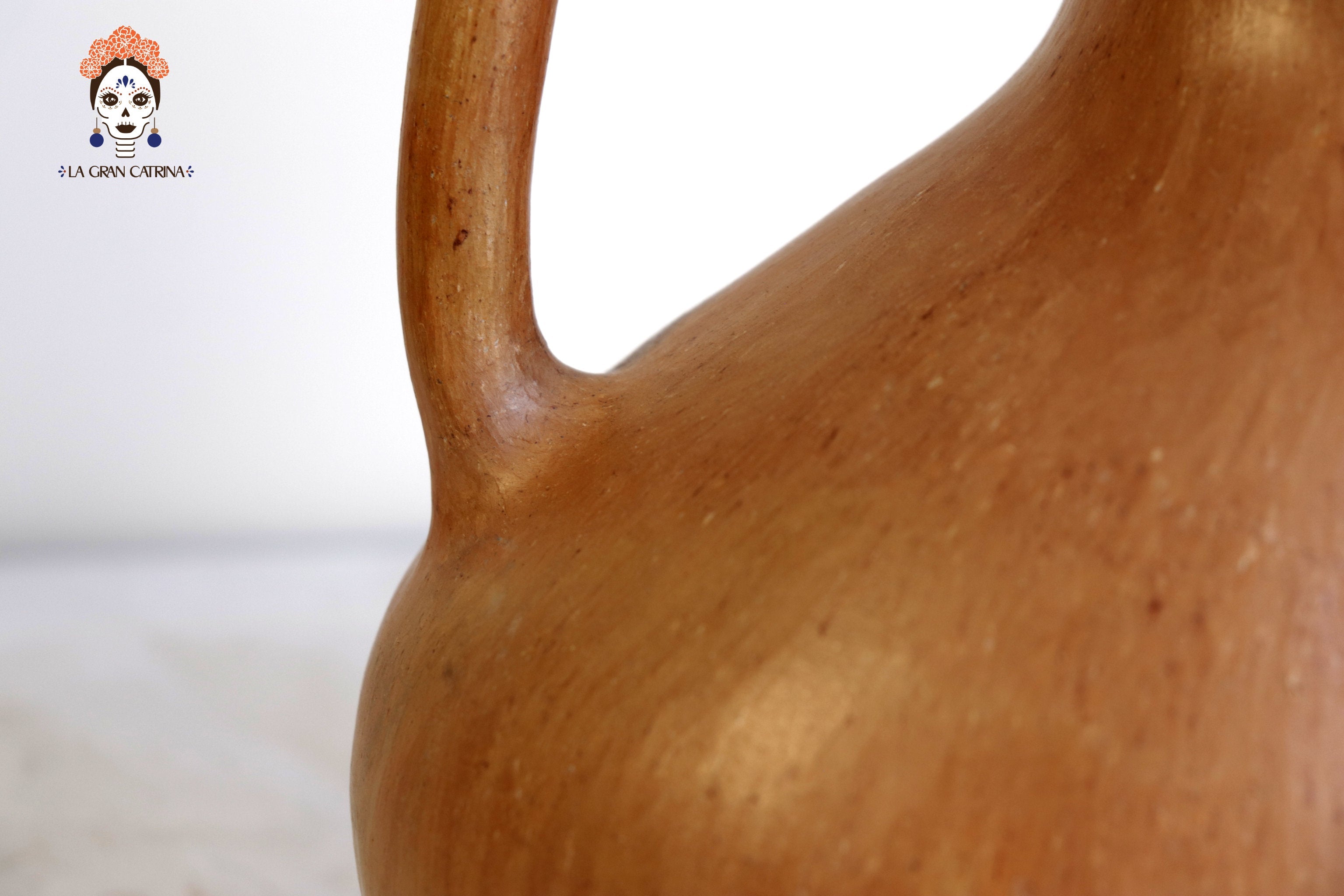 Vessel Ancestral Mixe Patojo - 9.8 in. Silvia Mixe