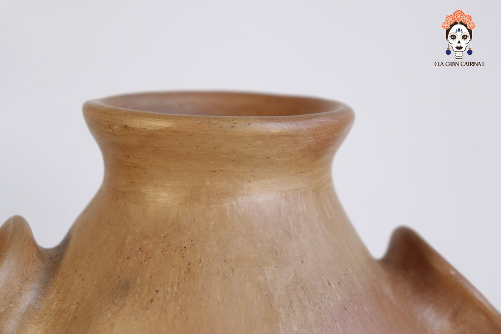 Vessel Ancestral Mixe with 7 openings - 11.8 in. Silvia Mixe