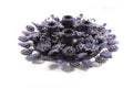Crown of Adviento Blue - 13.7 in. Montoya