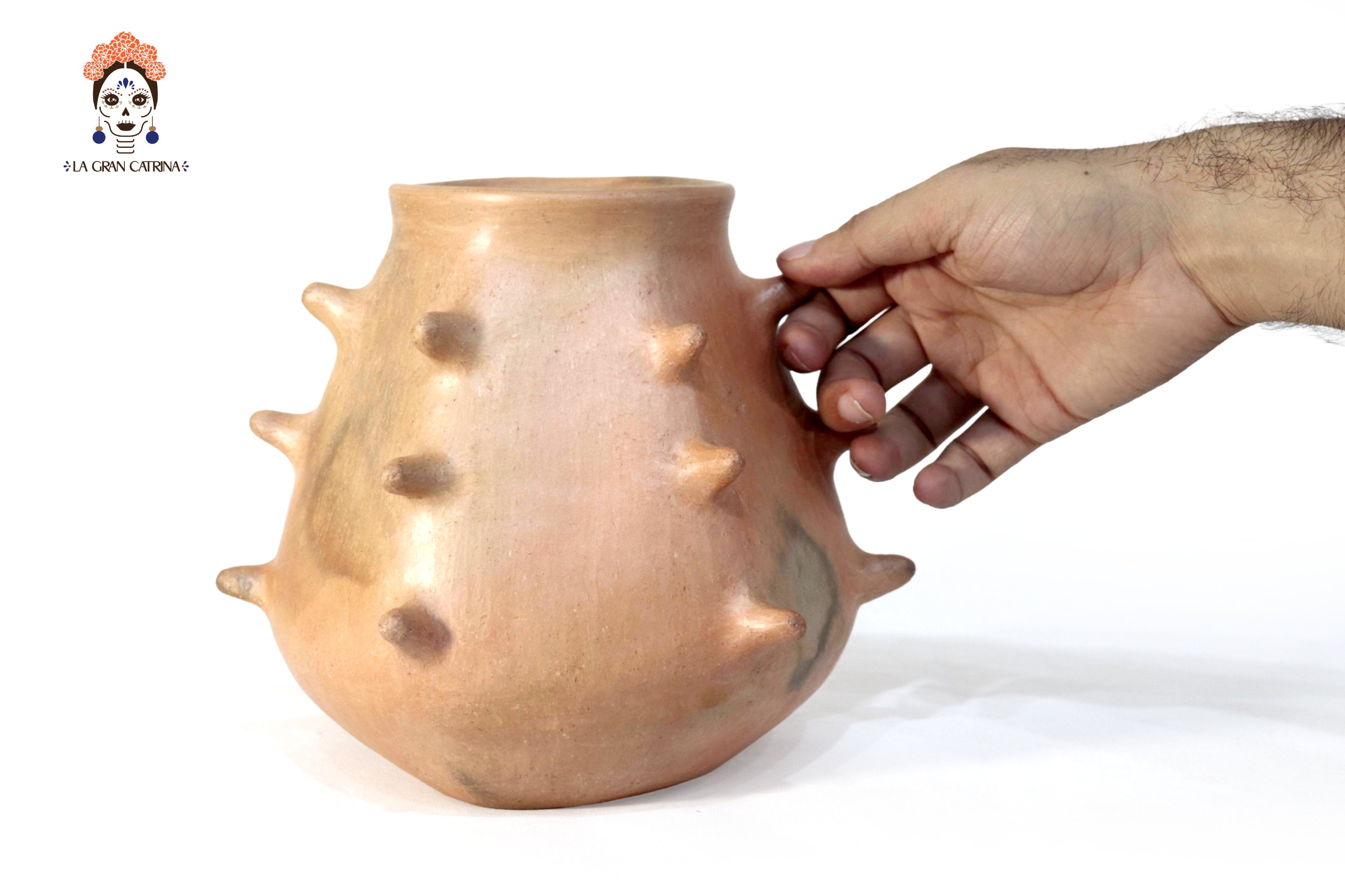 Vessel Ancestral Mixe with Spikes - 7.8 in. Silvia Mixe