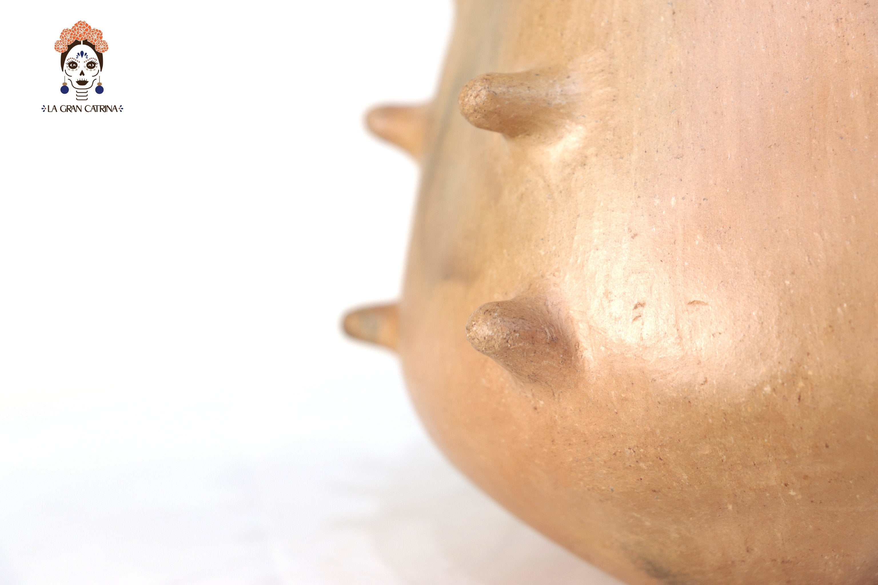 Vessel Ancestral Mixe with Spikes - 7.8 in. Silvia Mixe